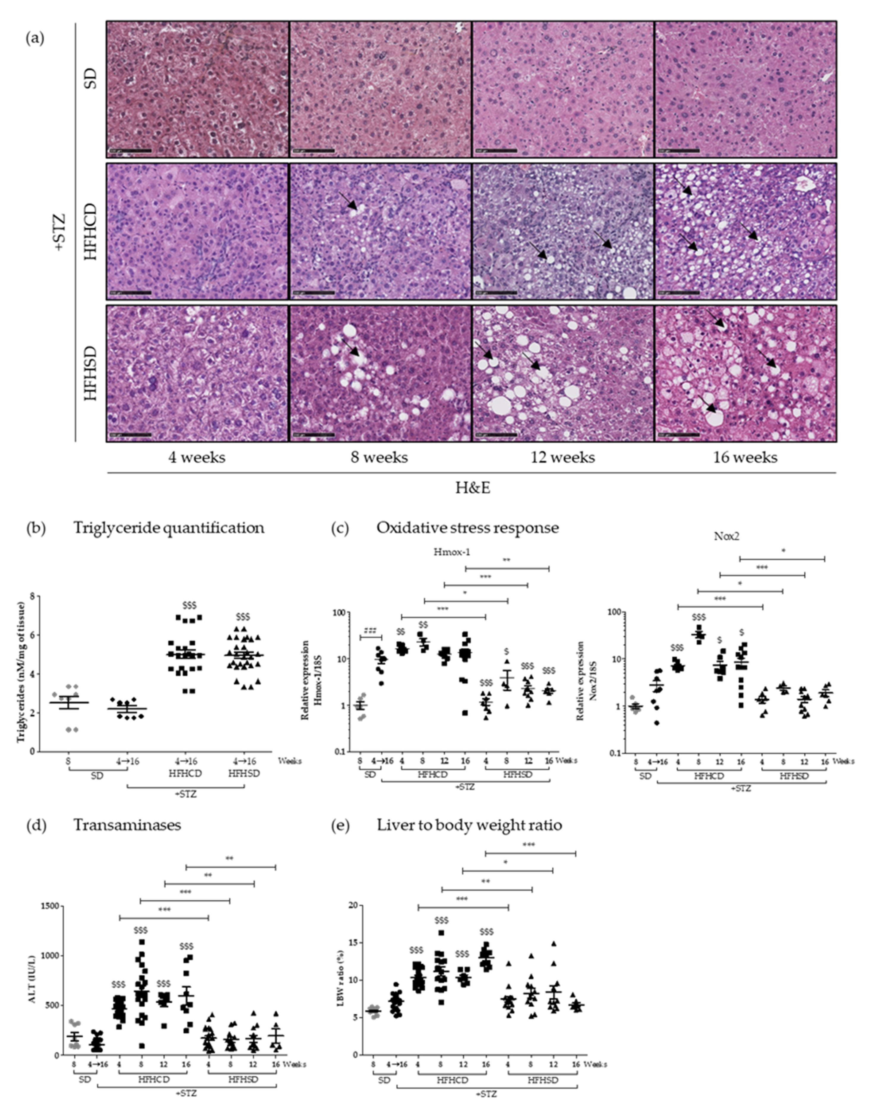 Cancers 12 01491 g001 Cancers 12 01491 g001