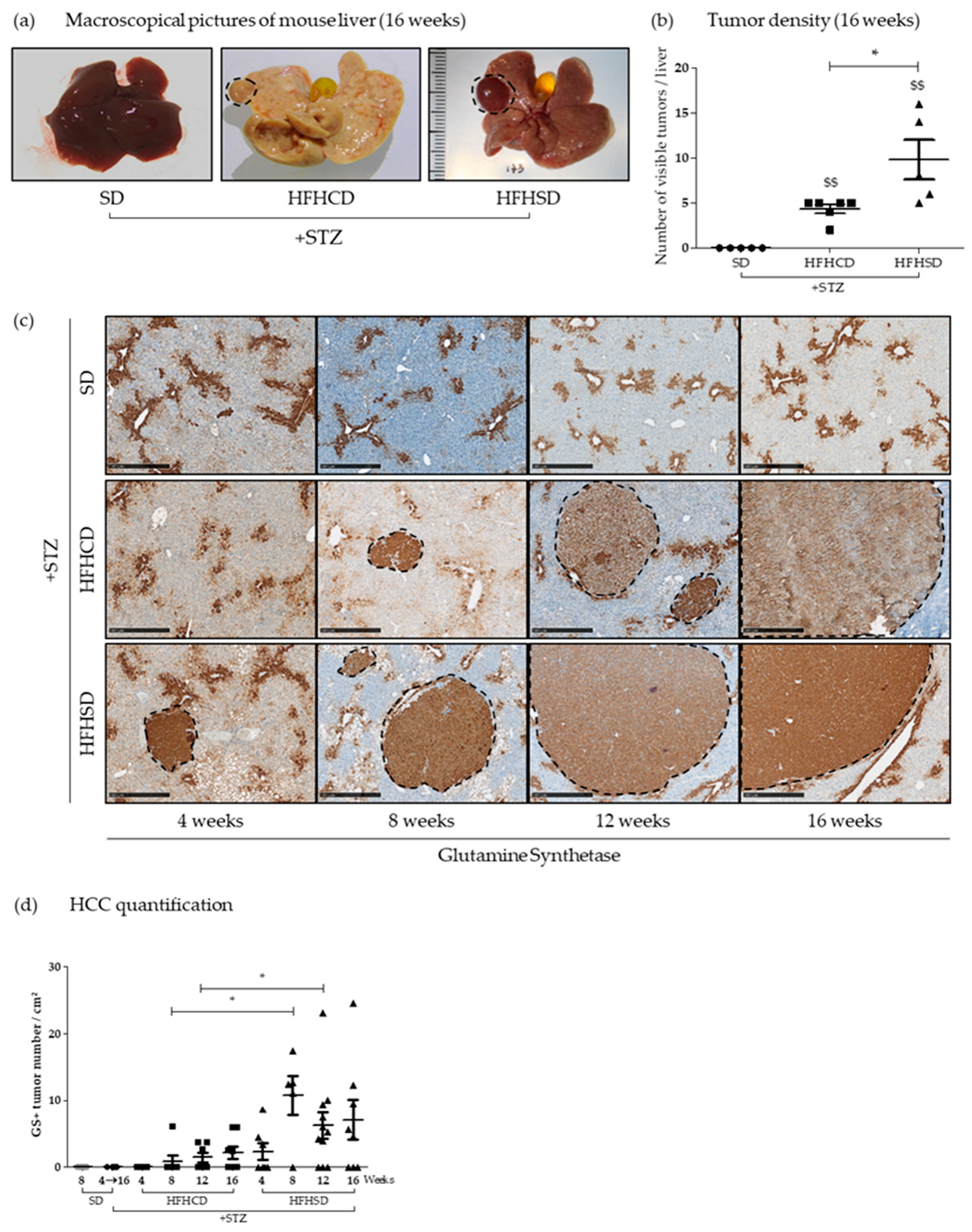 Cancers 12 01491 g003 Cancers 12 01491 g003