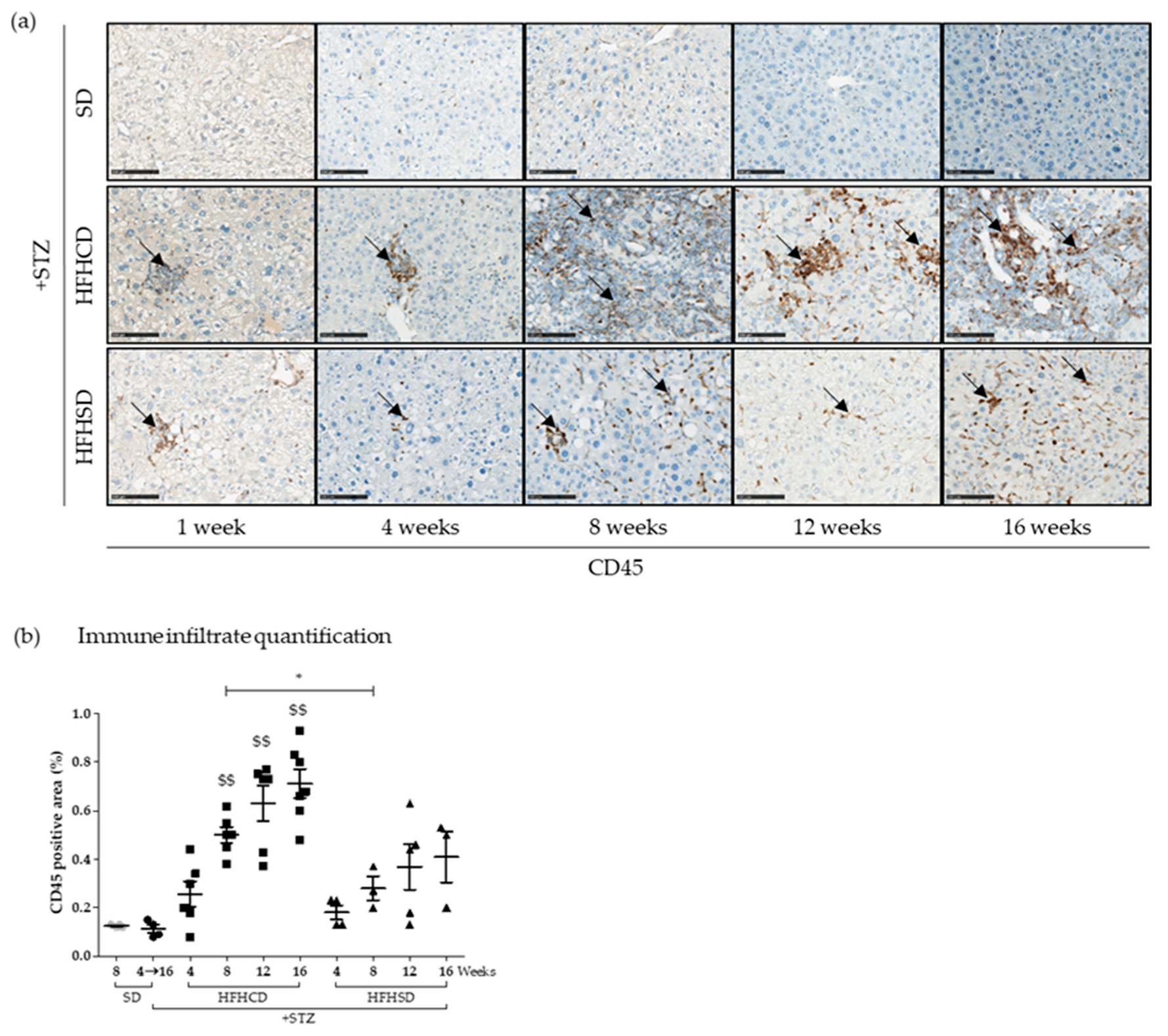 Cancers 12 01491 g004 Cancers 12 01491 g004