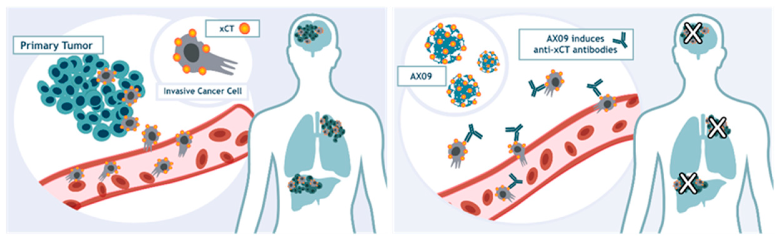 Cancers 12 01492 g008