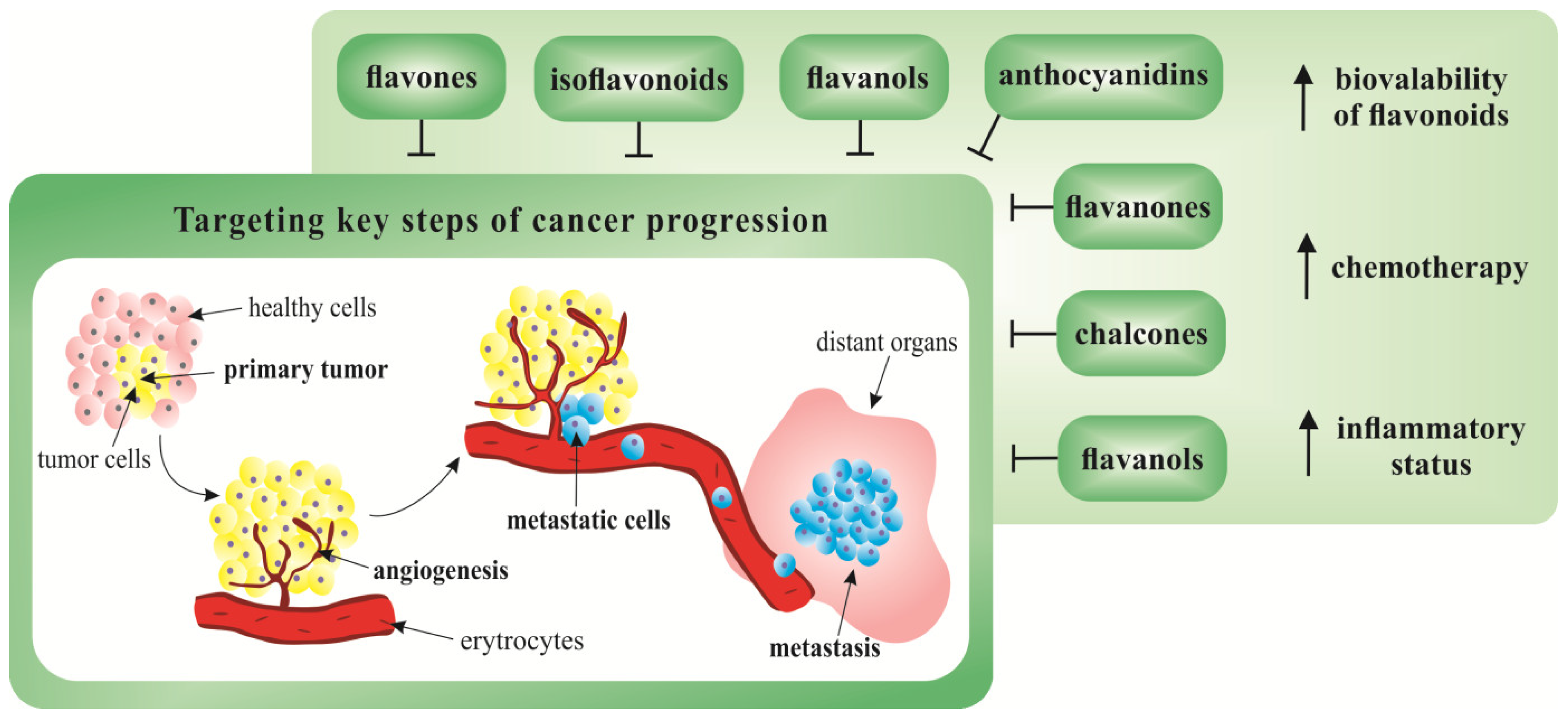 Cancers 12 01498 g003 Cancers 12 01498 g003