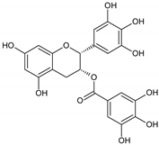 Cancers 12 01498 i021 Cancers 12 01498 i021