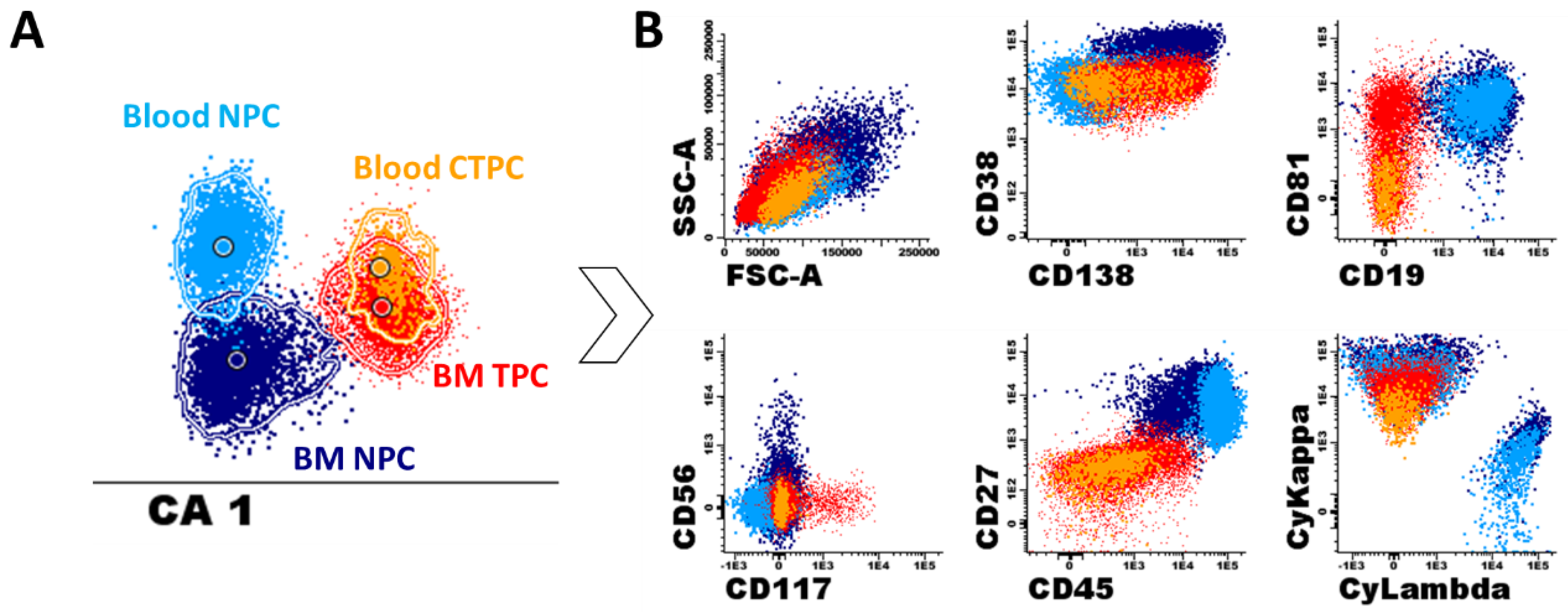 Cancers 12 01499 g003