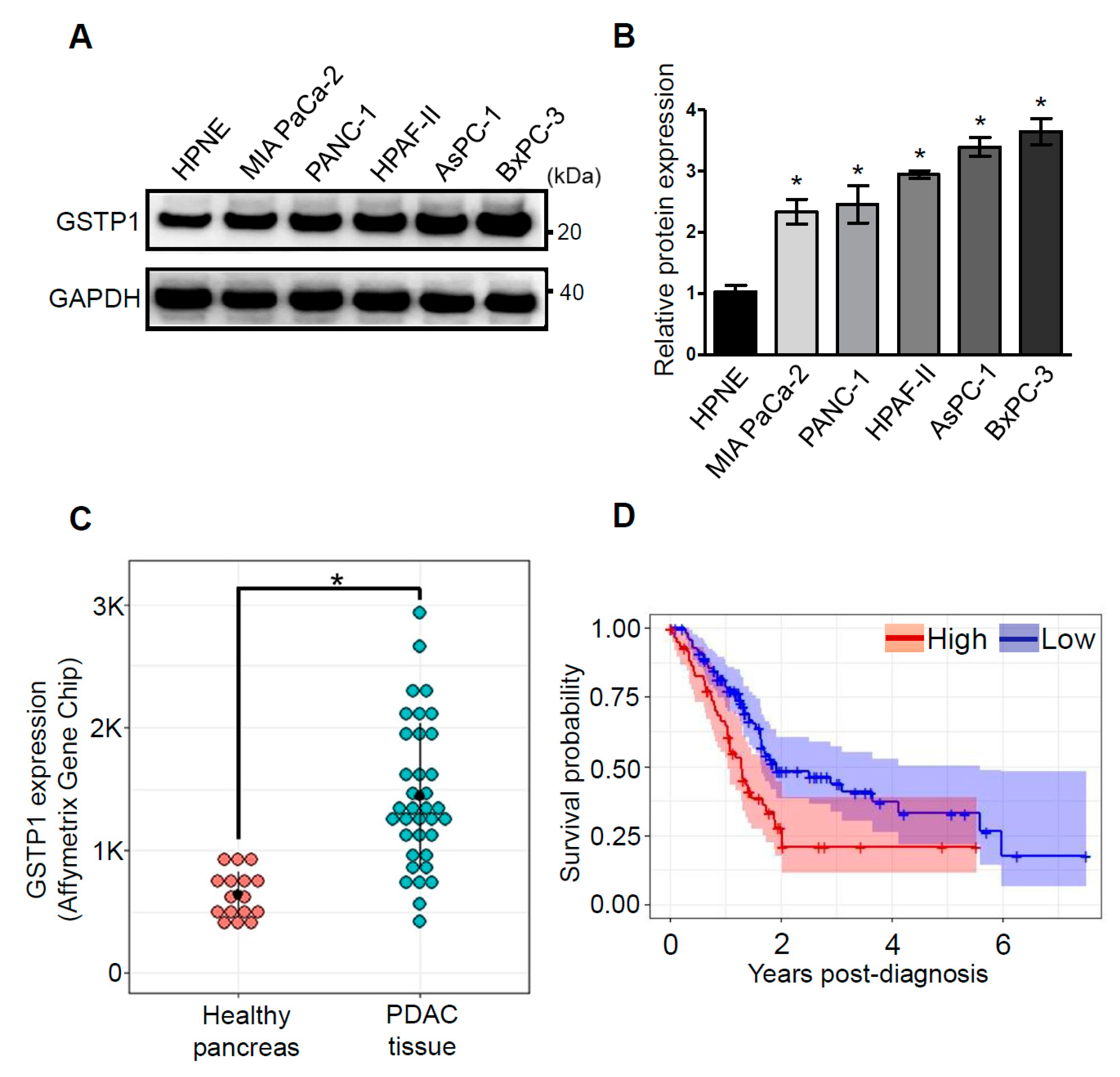 Cancers 12 01501 g001 Cancers 12 01501 g001