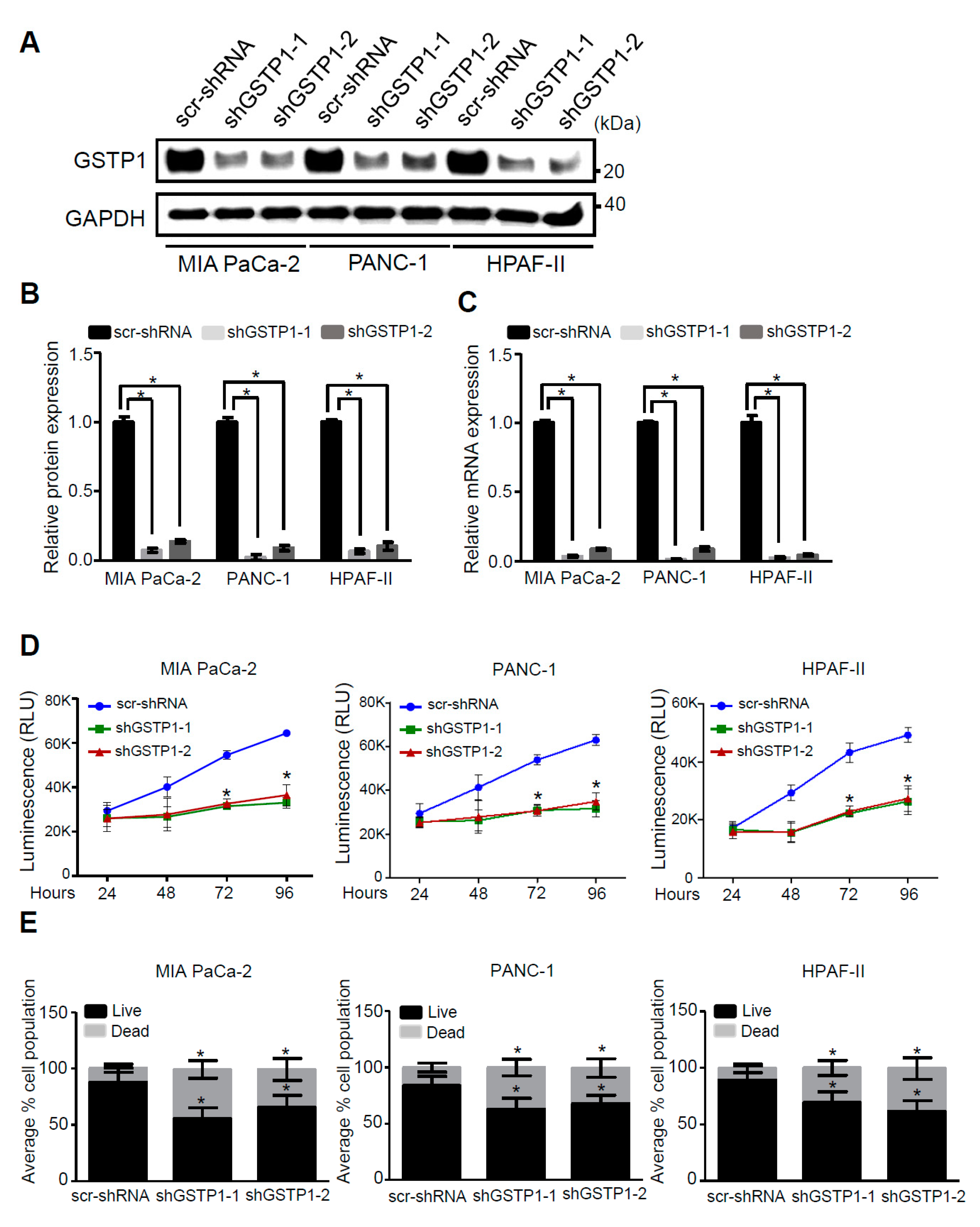 Cancers 12 01501 g002 Cancers 12 01501 g002