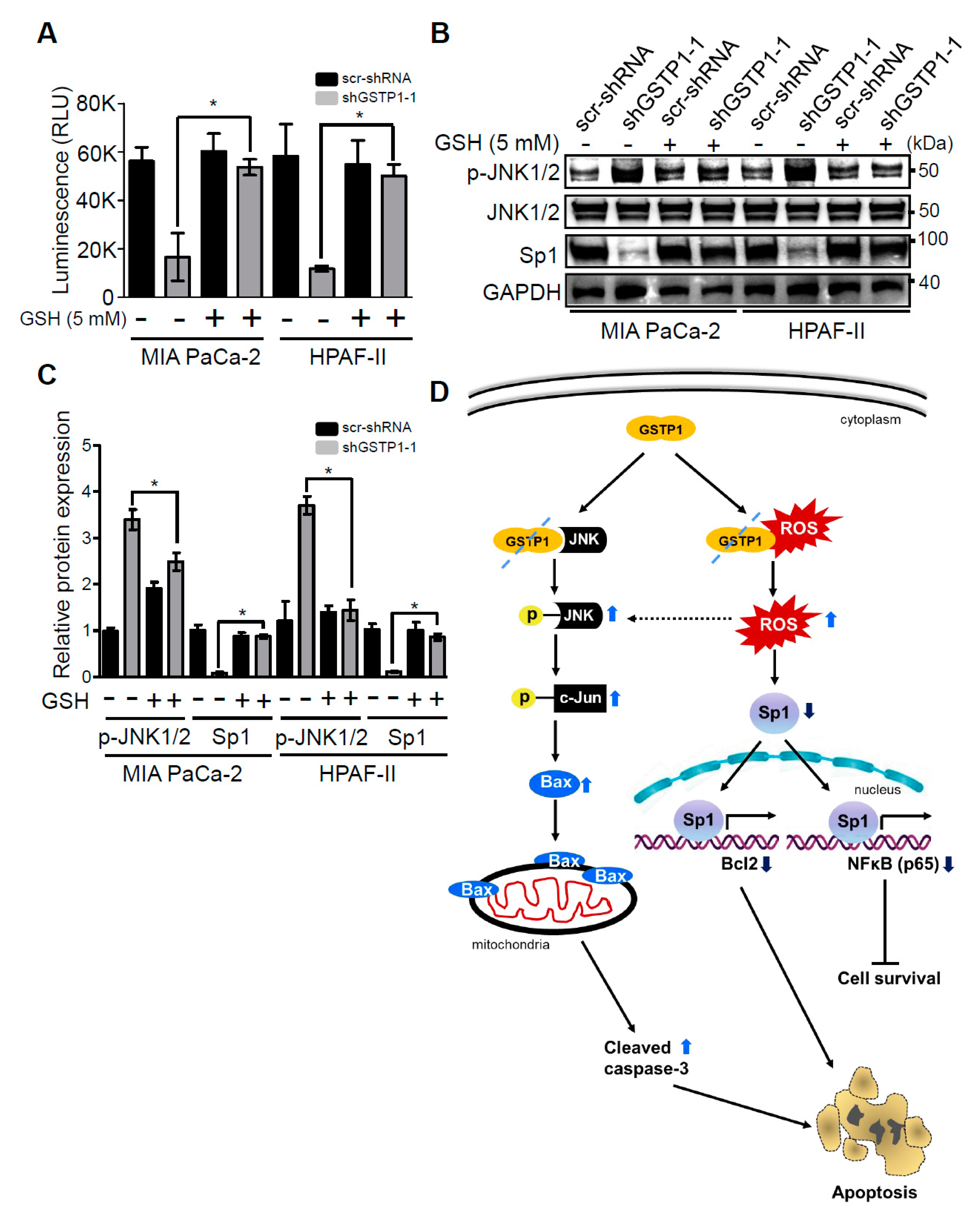 Cancers 12 01501 g005 Cancers 12 01501 g005