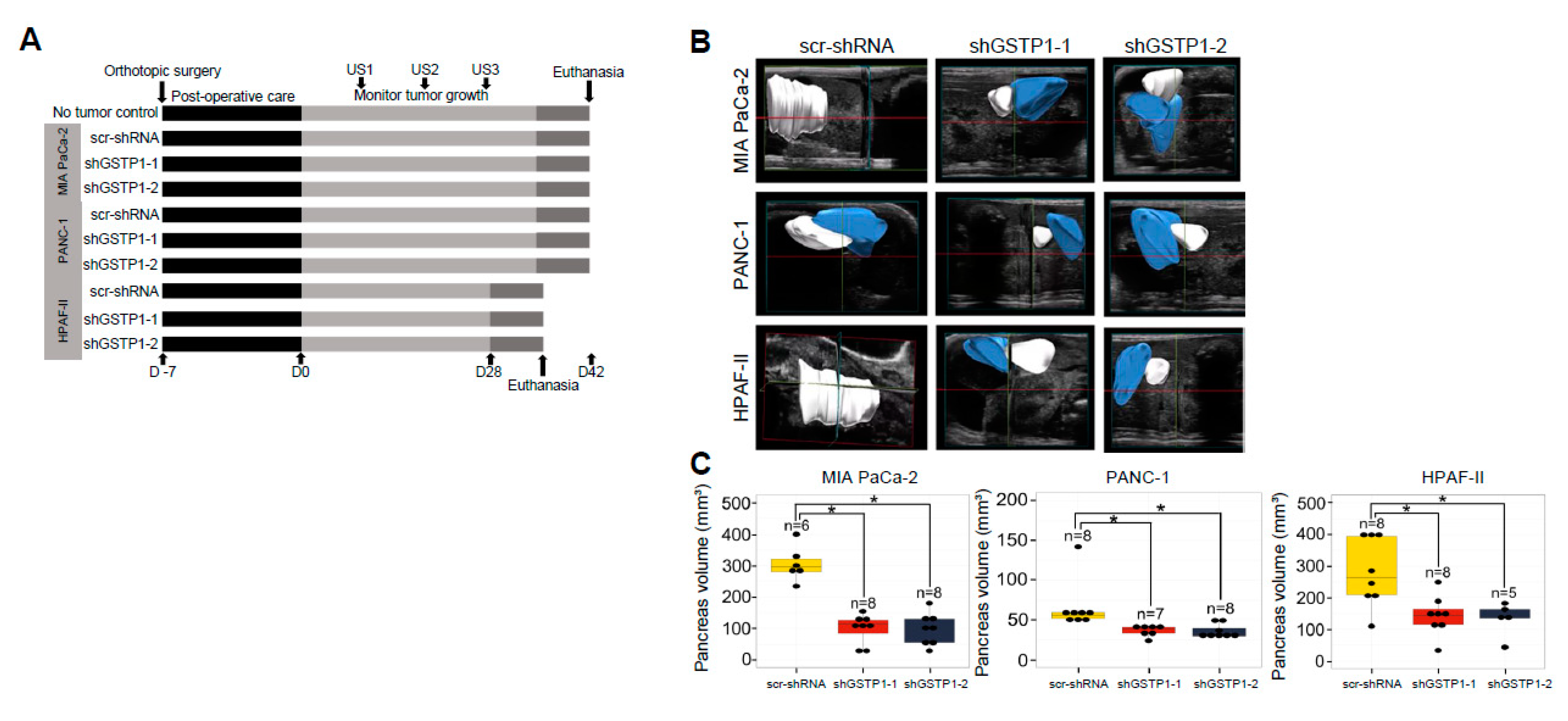Cancers 12 01501 g006a Cancers 12 01501 g006a
