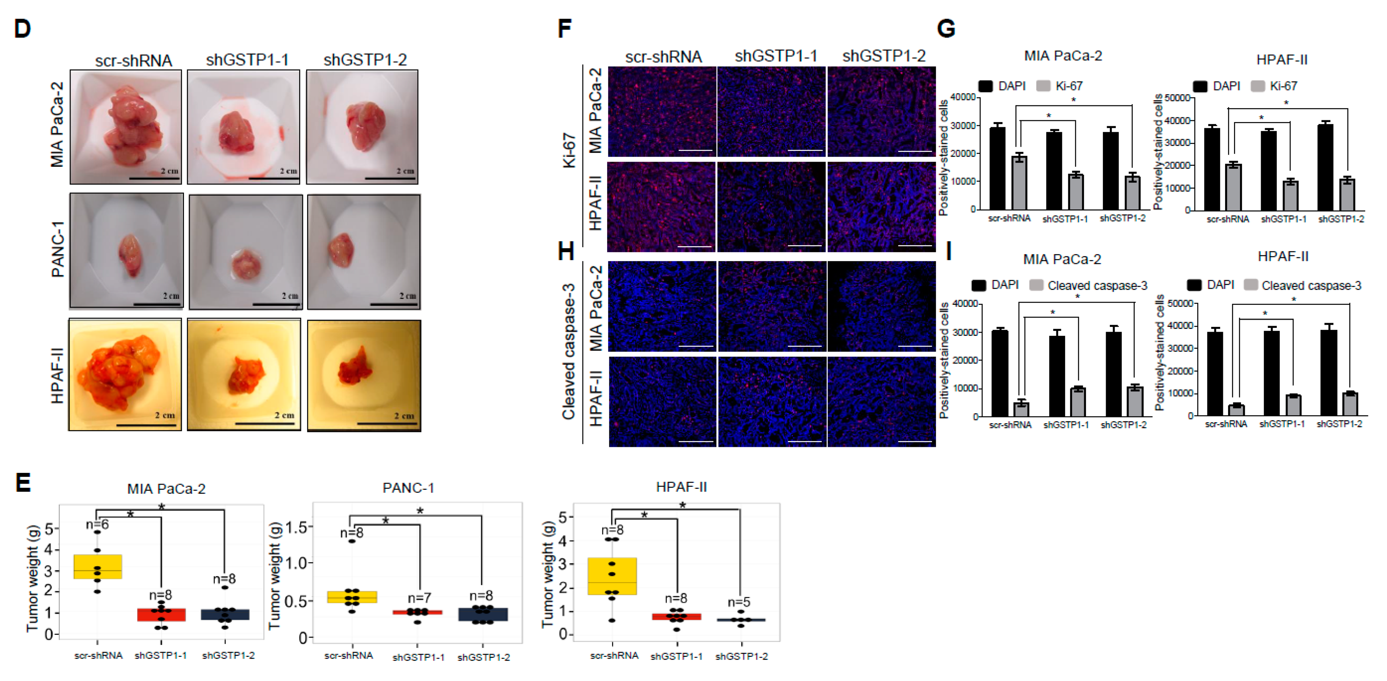 Cancers 12 01501 g006b Cancers 12 01501 g006b
