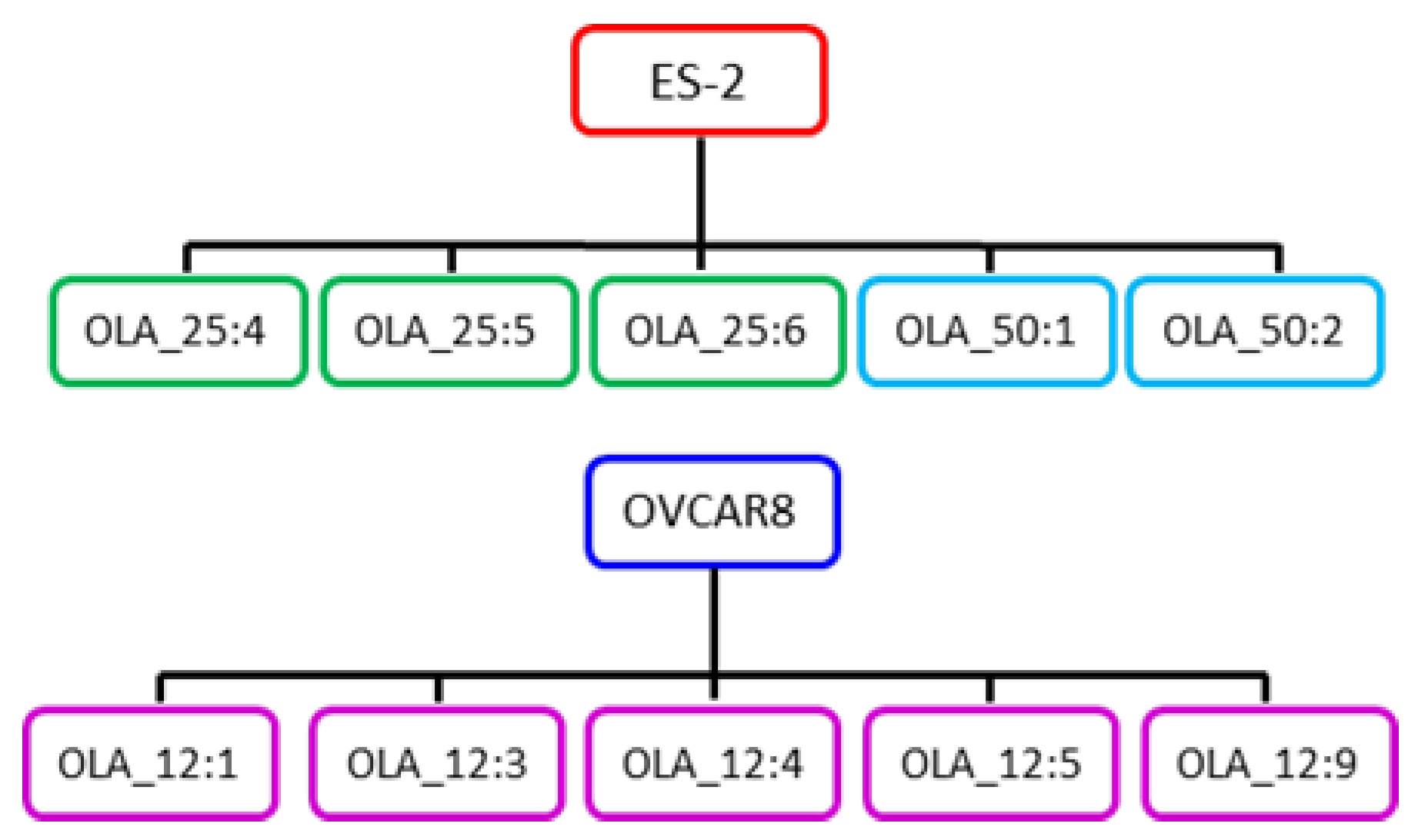 Cancers 12 01503 g001 Cancers 12 01503 g001