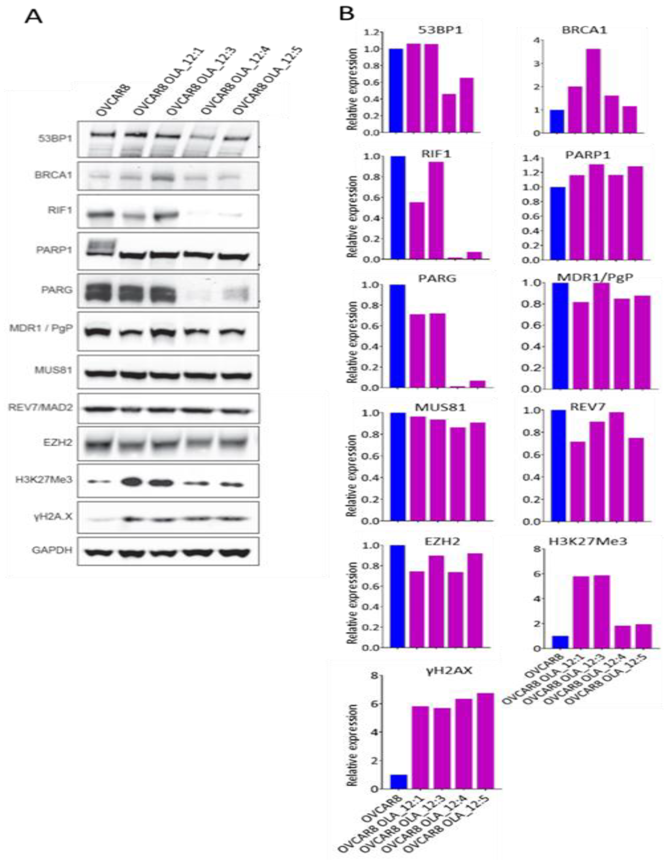 Cancers 12 01503 g004 Cancers 12 01503 g004