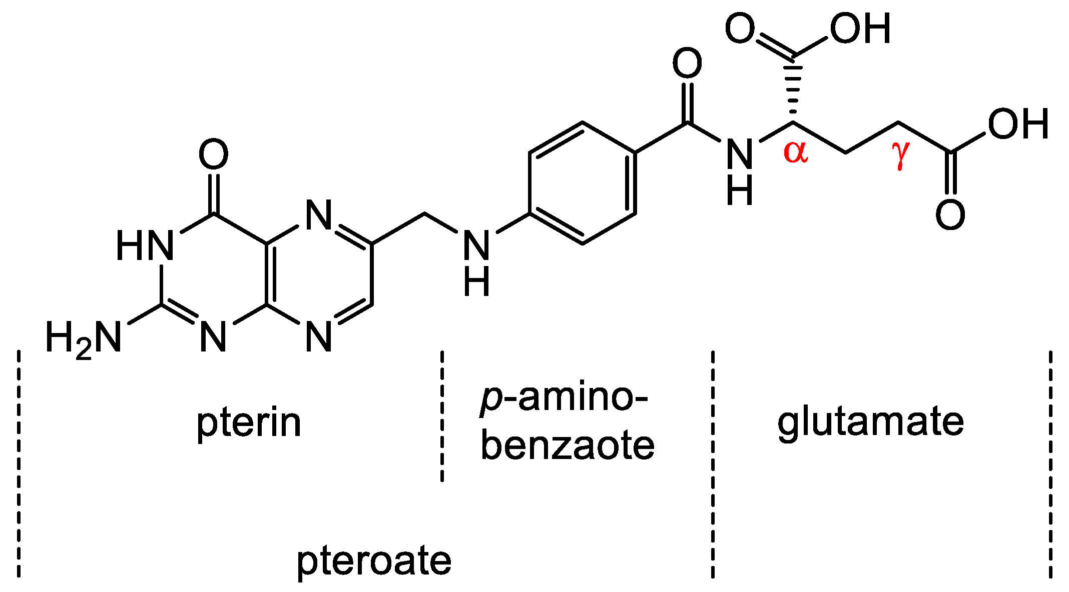 Cancers 12 01508 g001 Cancers 12 01508 g001
