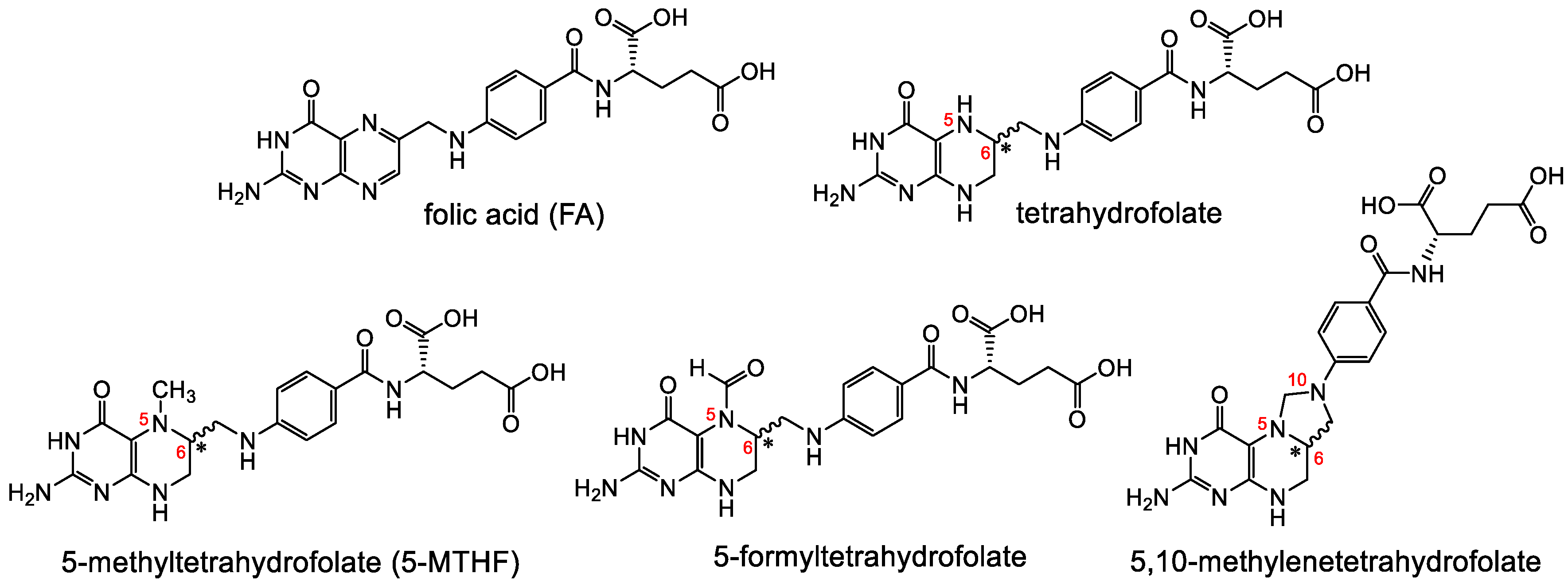 Cancers 12 01508 g002 Cancers 12 01508 g002