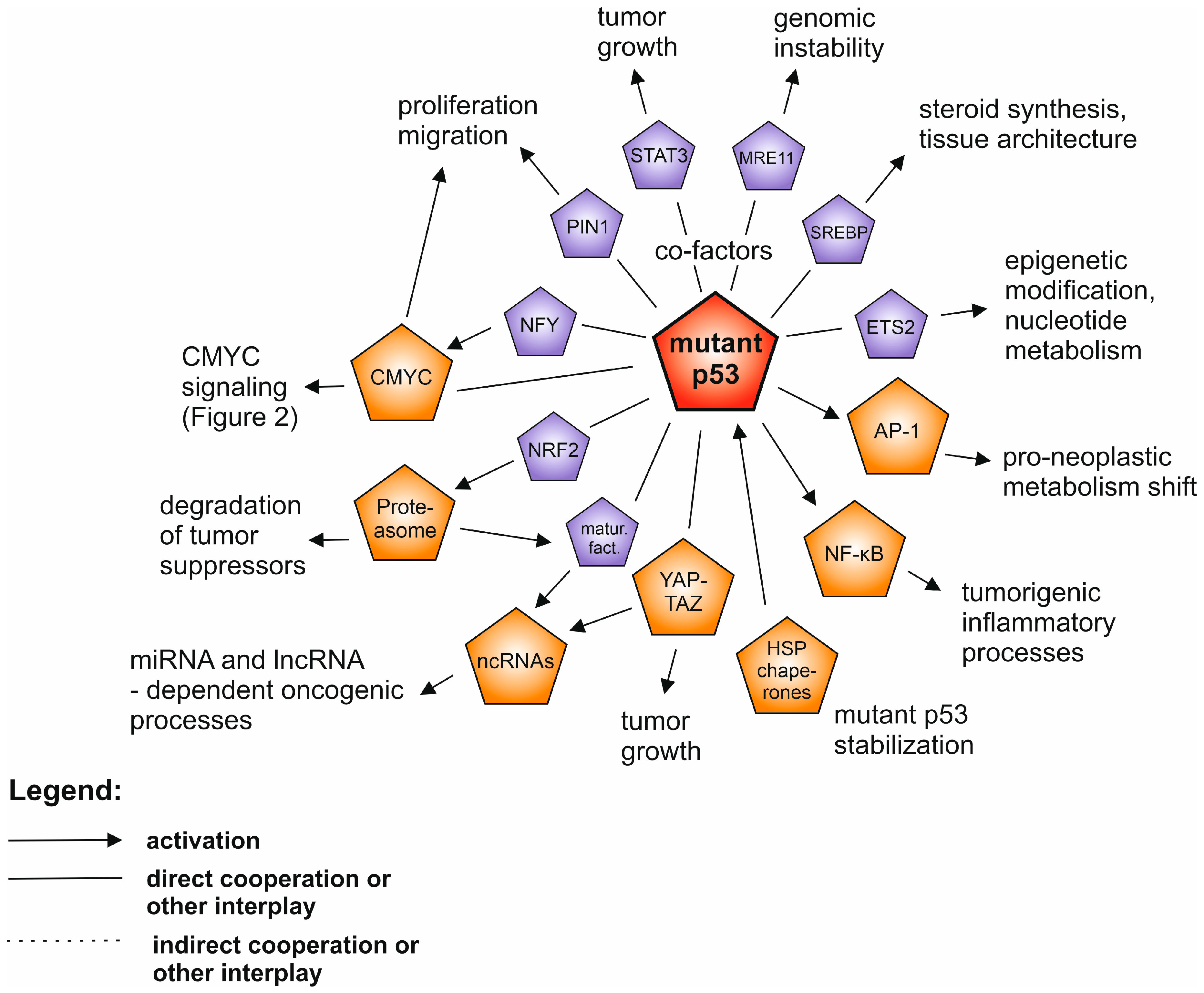 Cancers 12 01532 g001