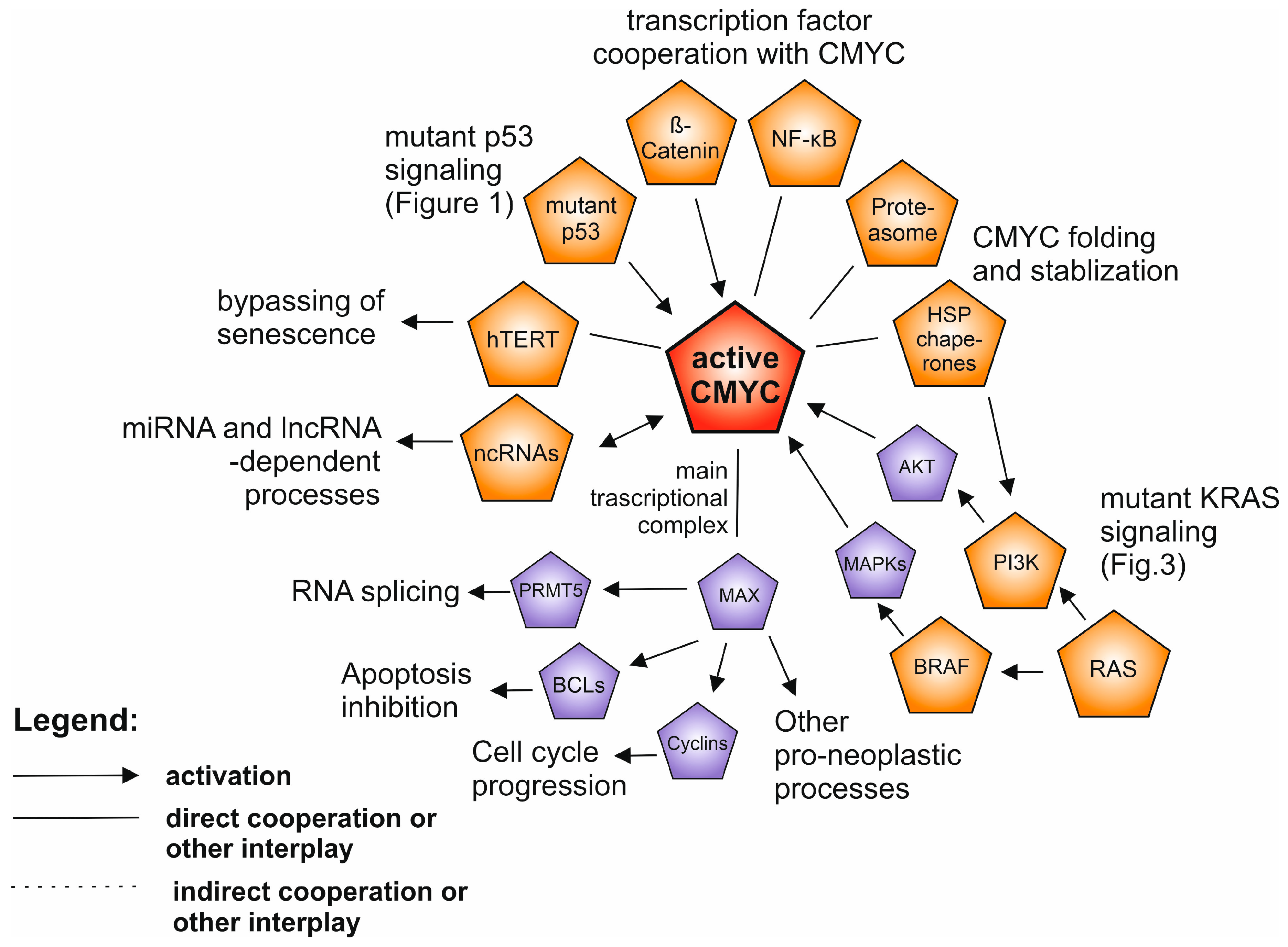 Cancers 12 01532 g002
