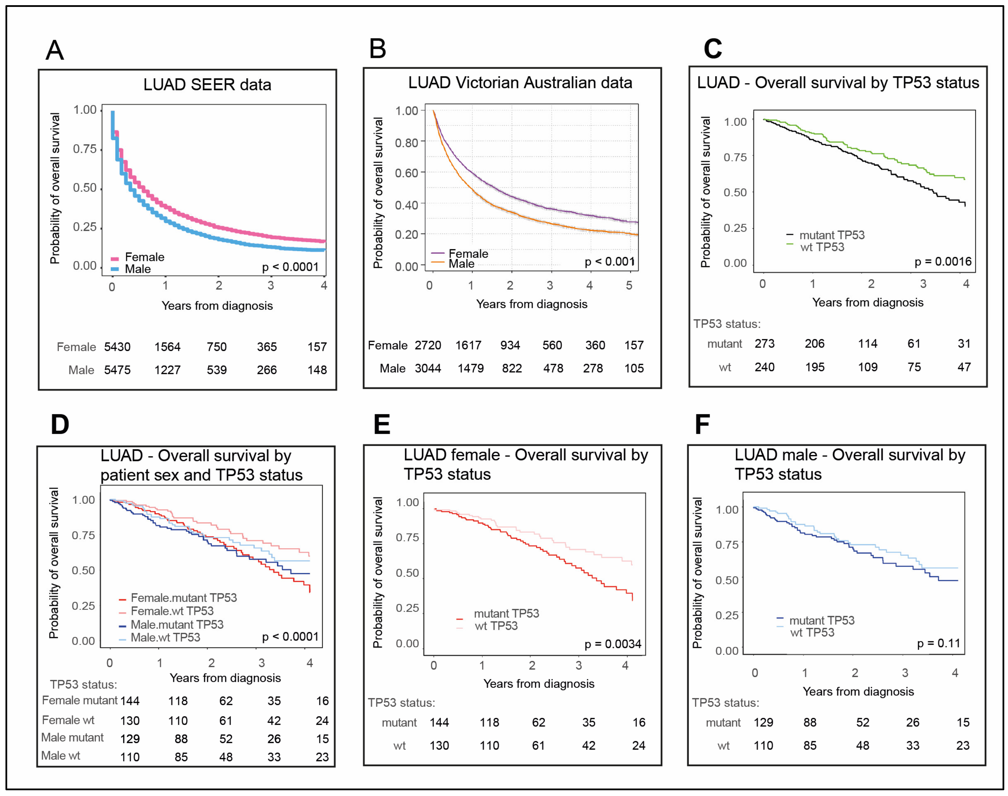 Cancers 12 01535 g001