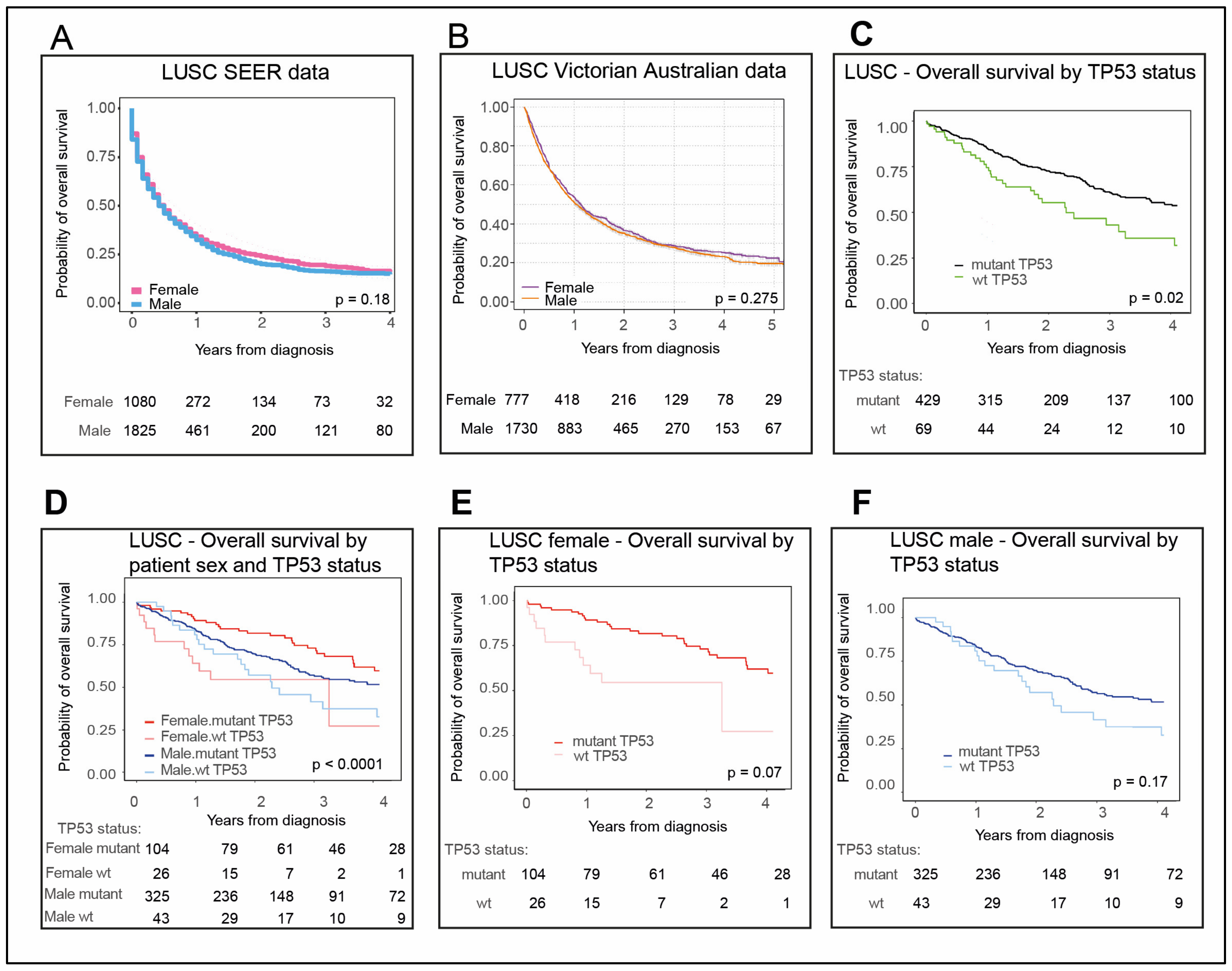 Cancers 12 01535 g005