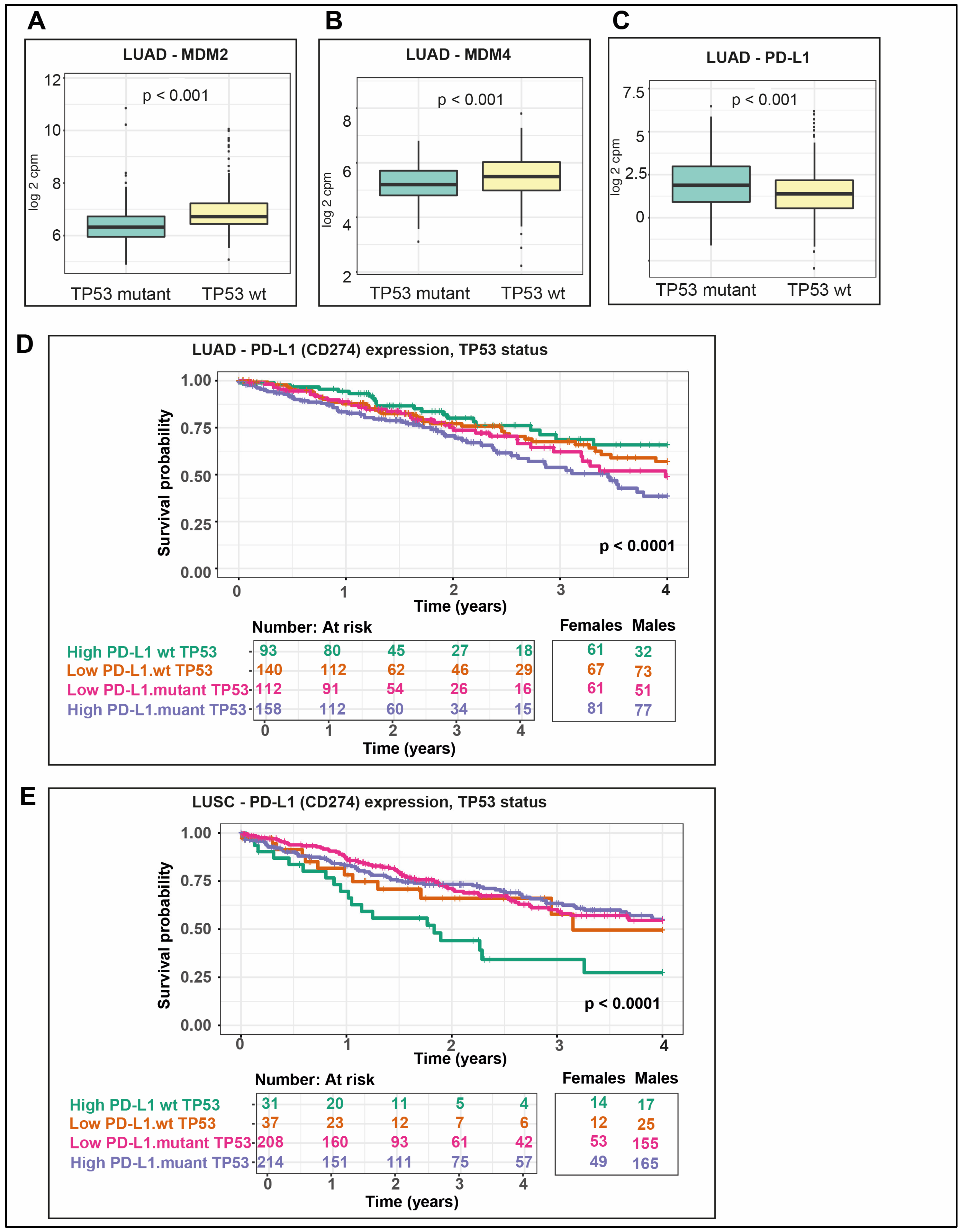 Cancers 12 01535 g008