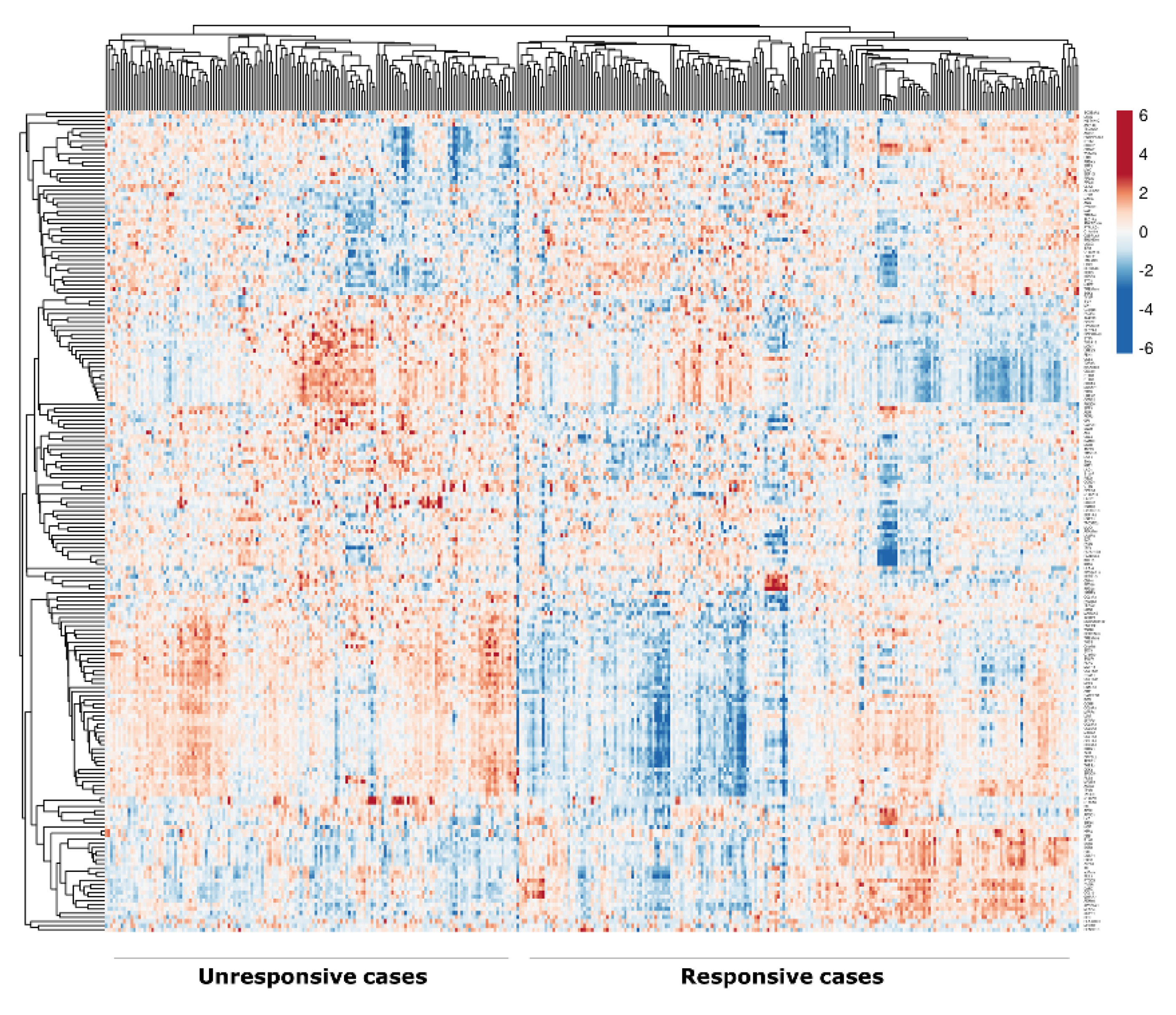 Cancers 12 01549 g001 Cancers 12 01549 g001
