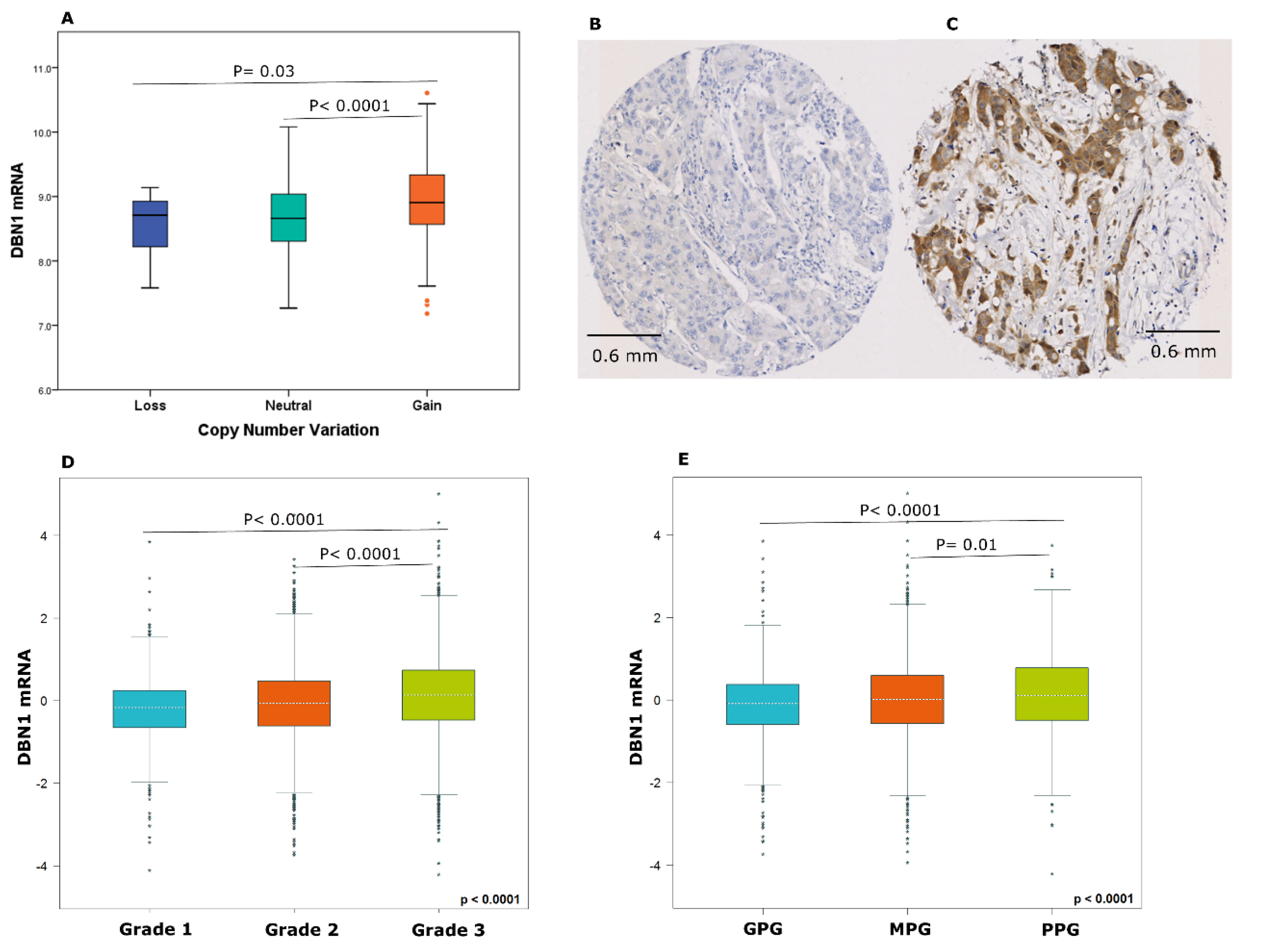 Cancers 12 01549 g002 Cancers 12 01549 g002