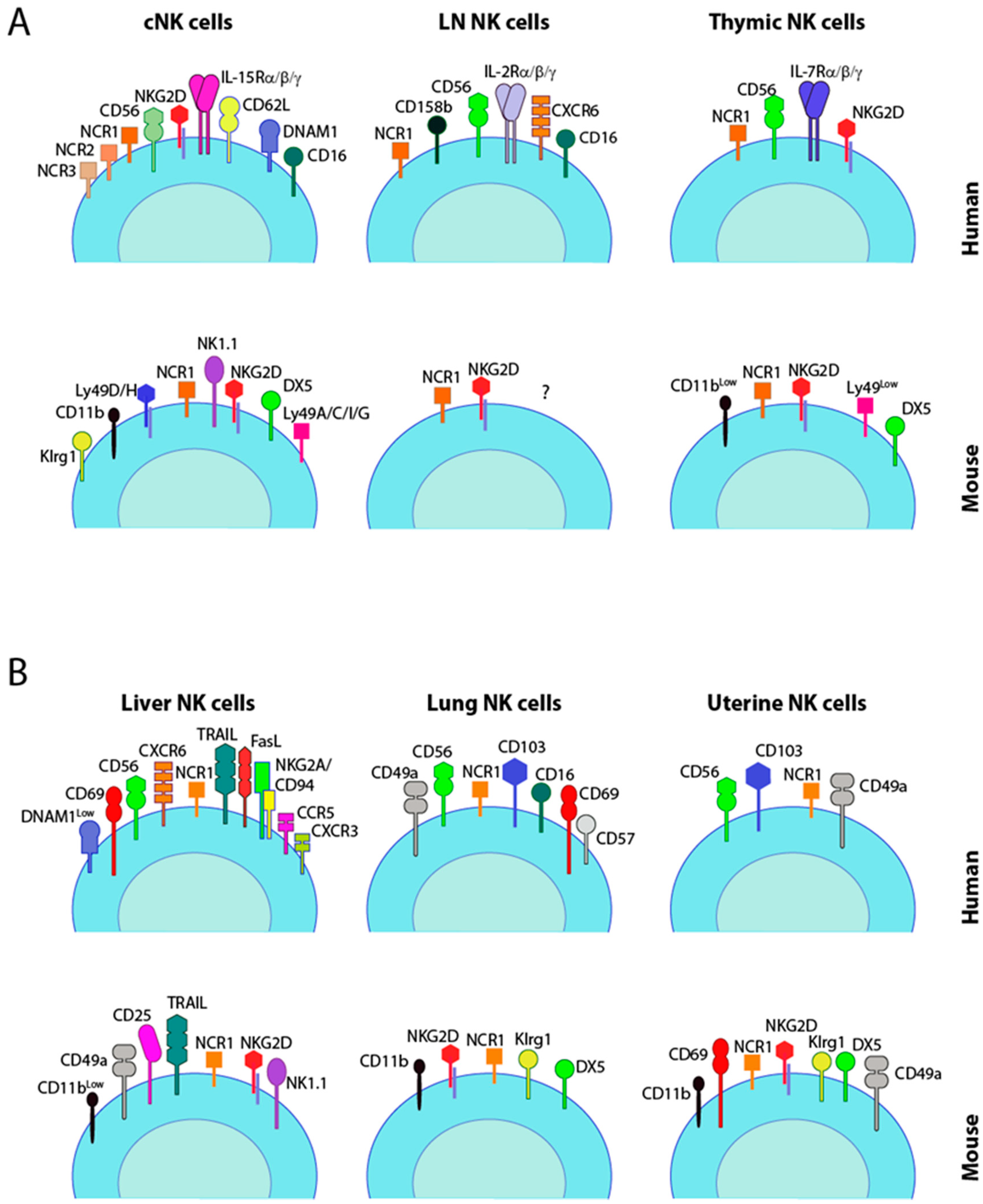 Cancers 12 01553 g001 Cancers 12 01553 g001