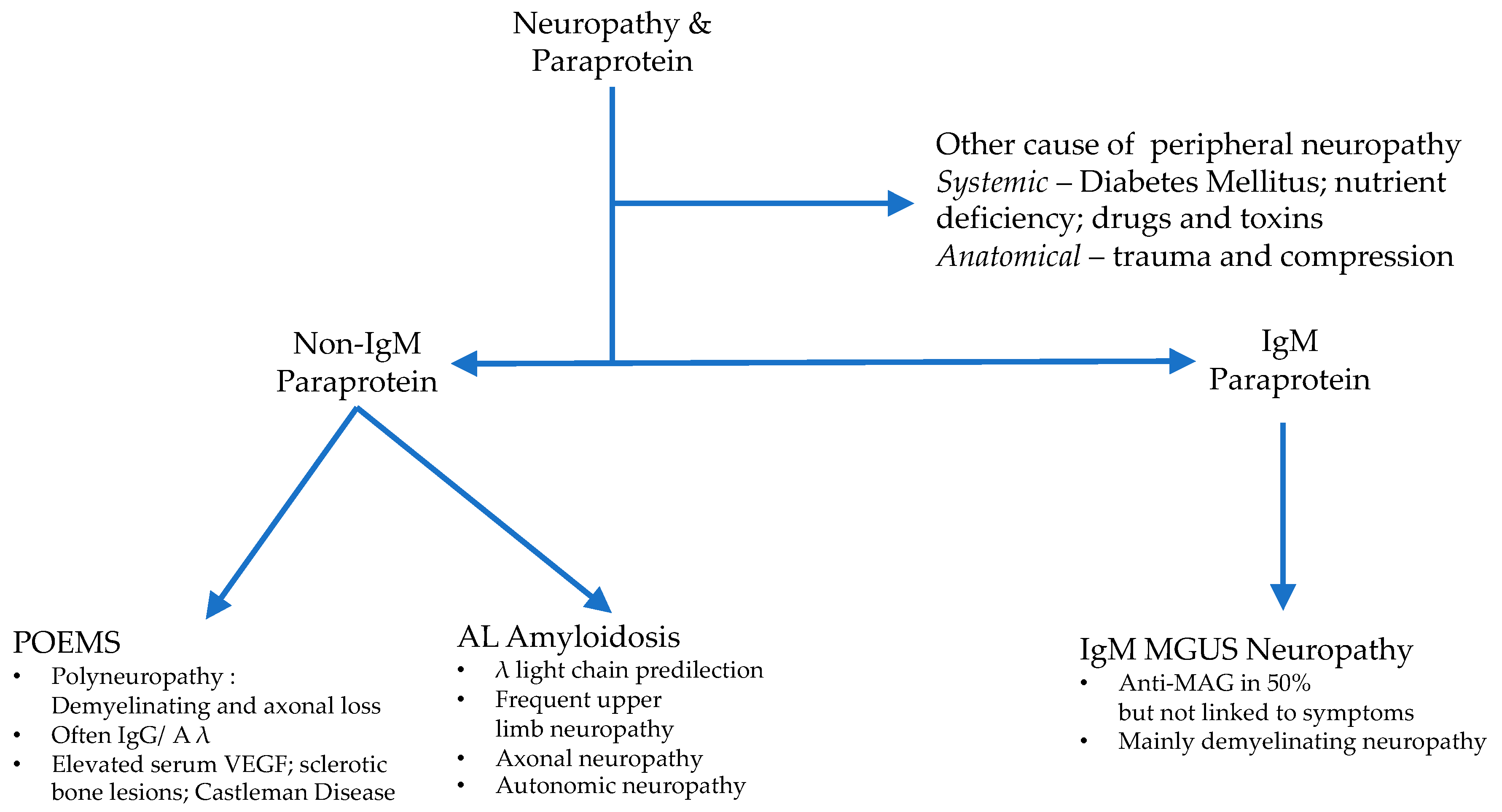 Cancers 12 01554 g001