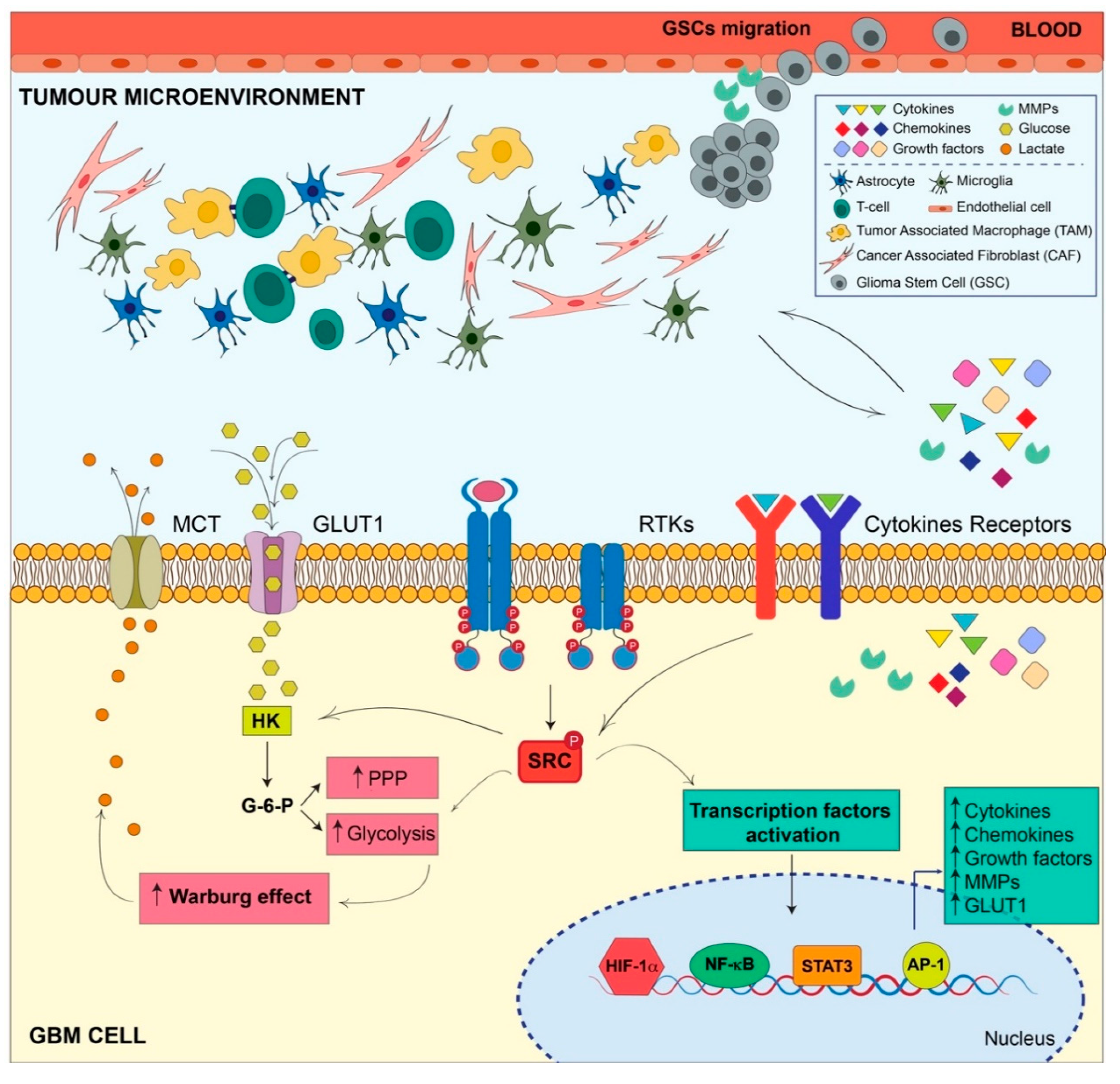 Cancers 12 01558 g002