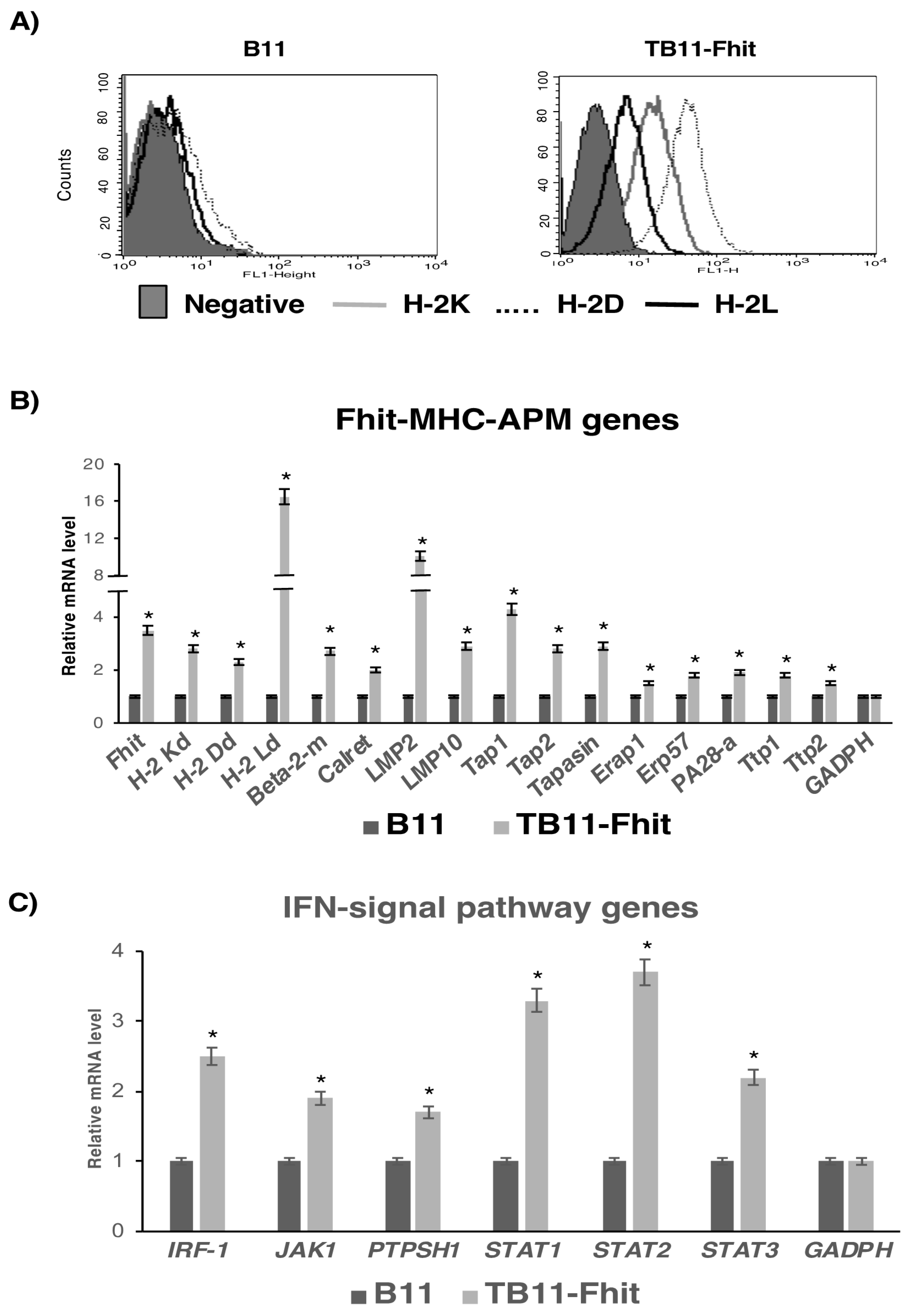 Cancers 12 01563 g001