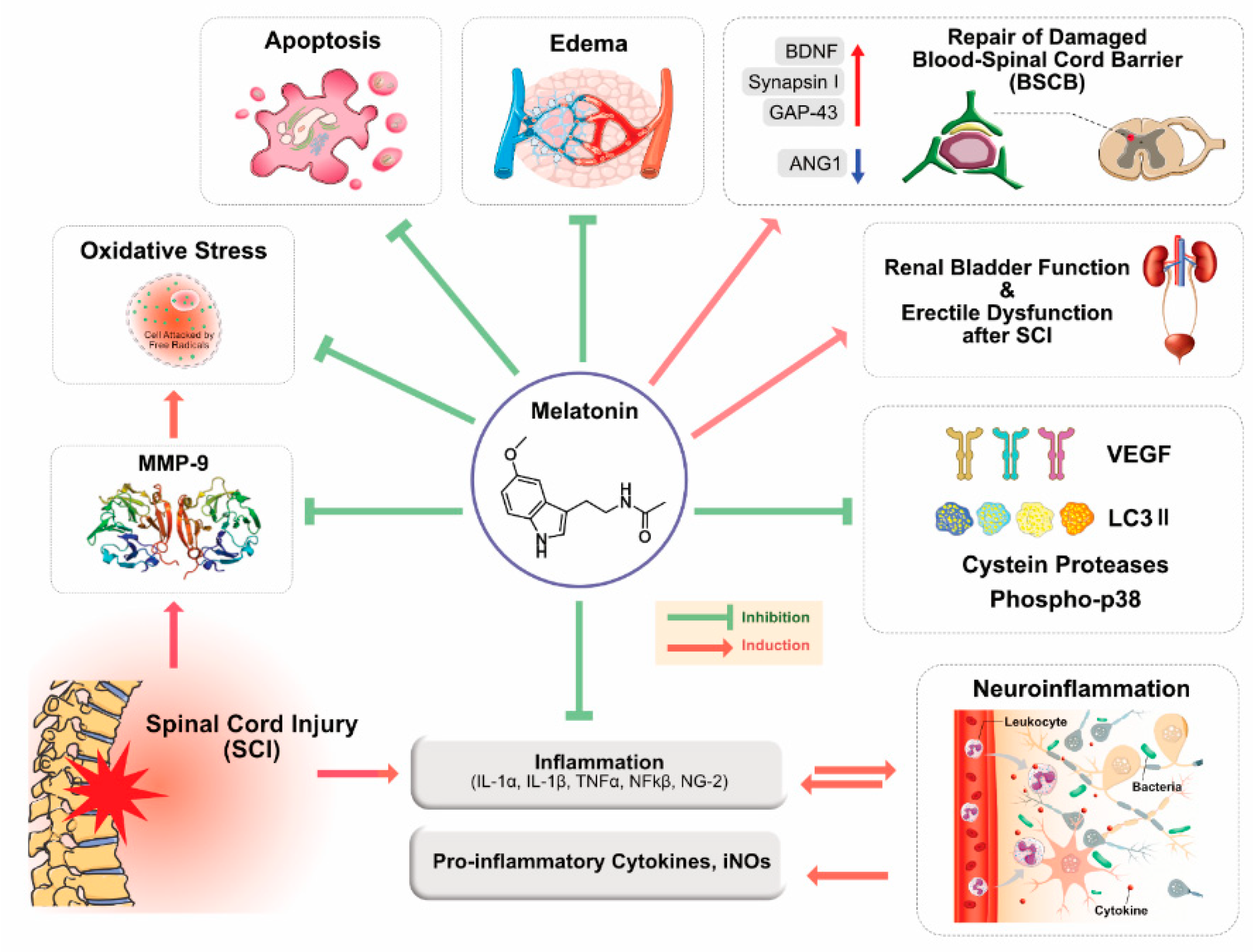 Cancers 12 01567 g002
