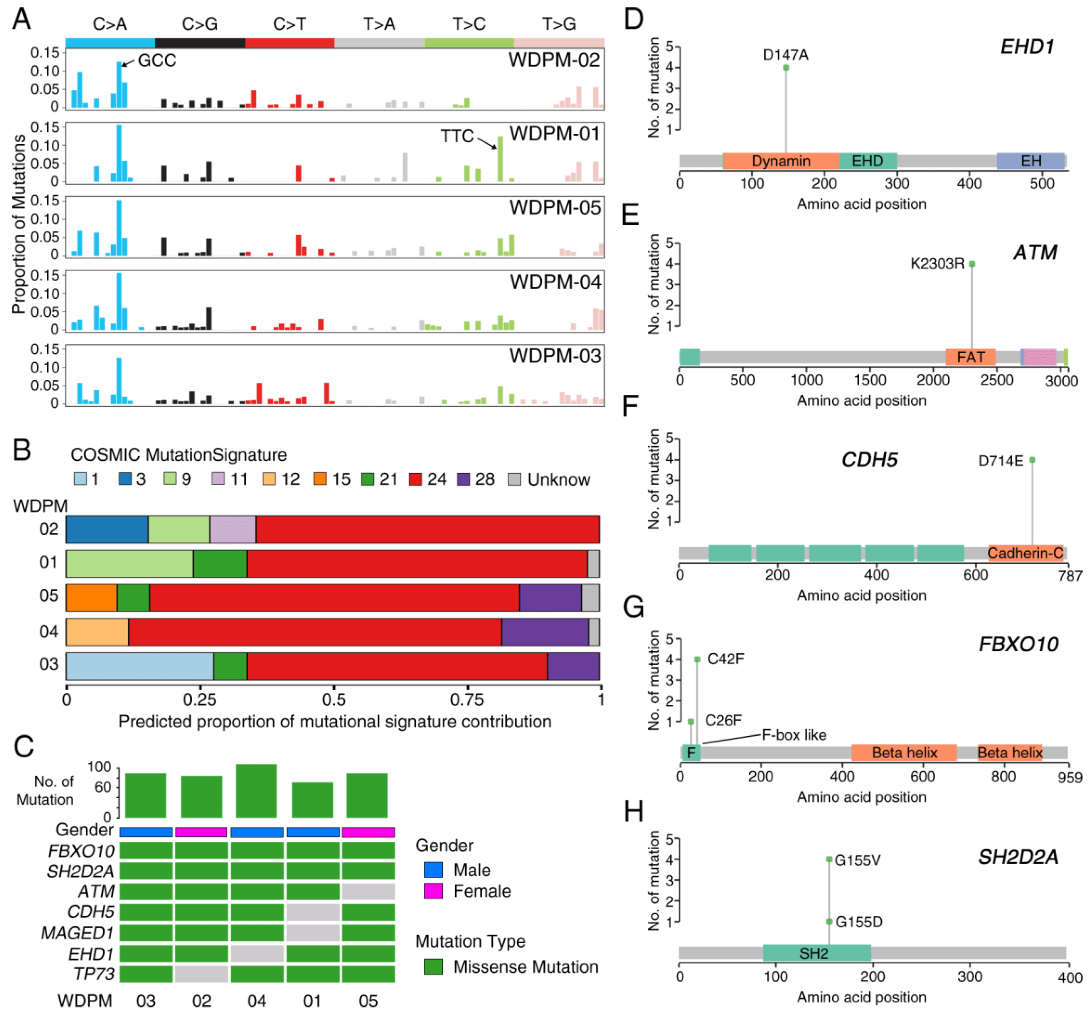 Cancers 12 01568 g002