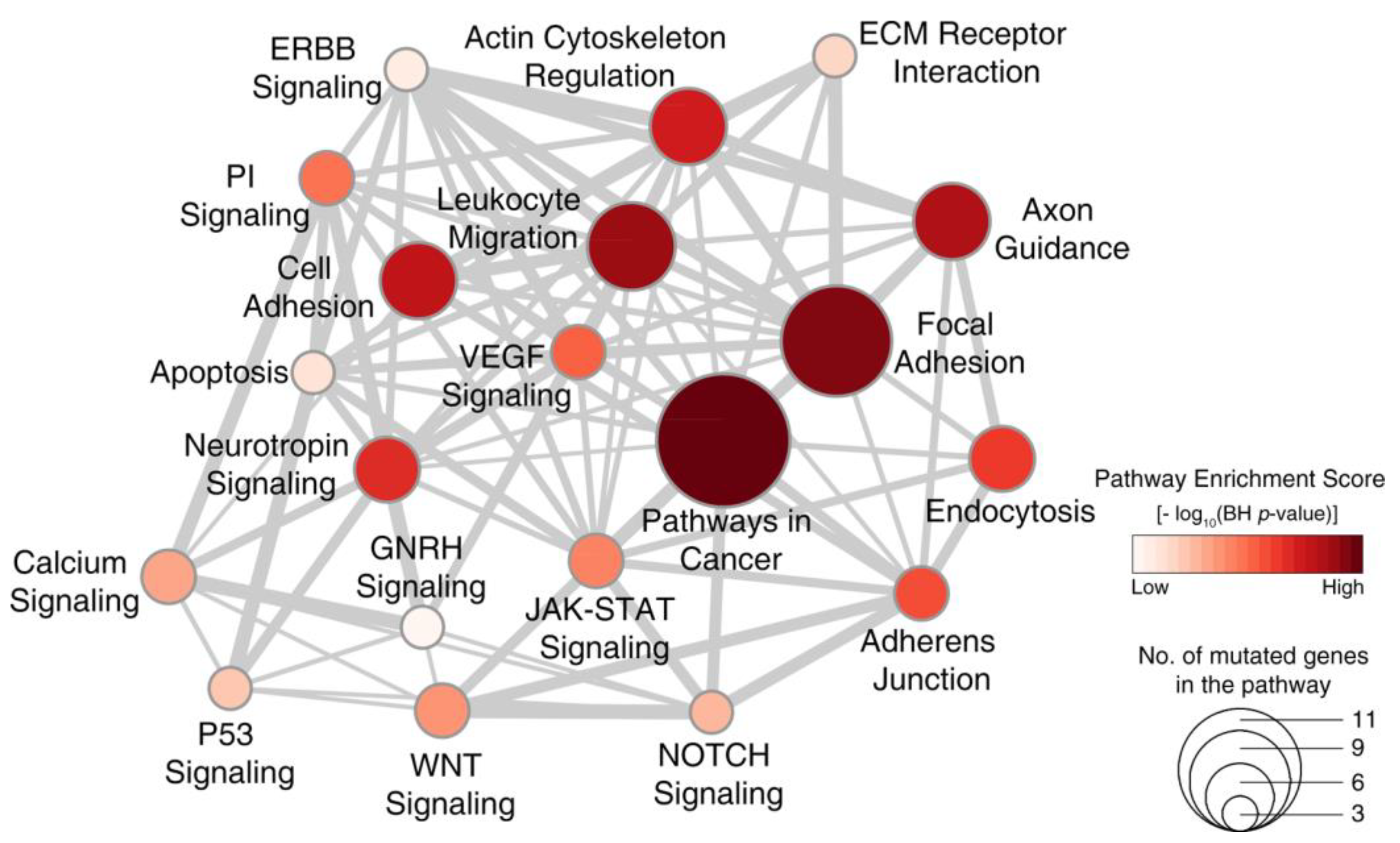Cancers 12 01568 g003