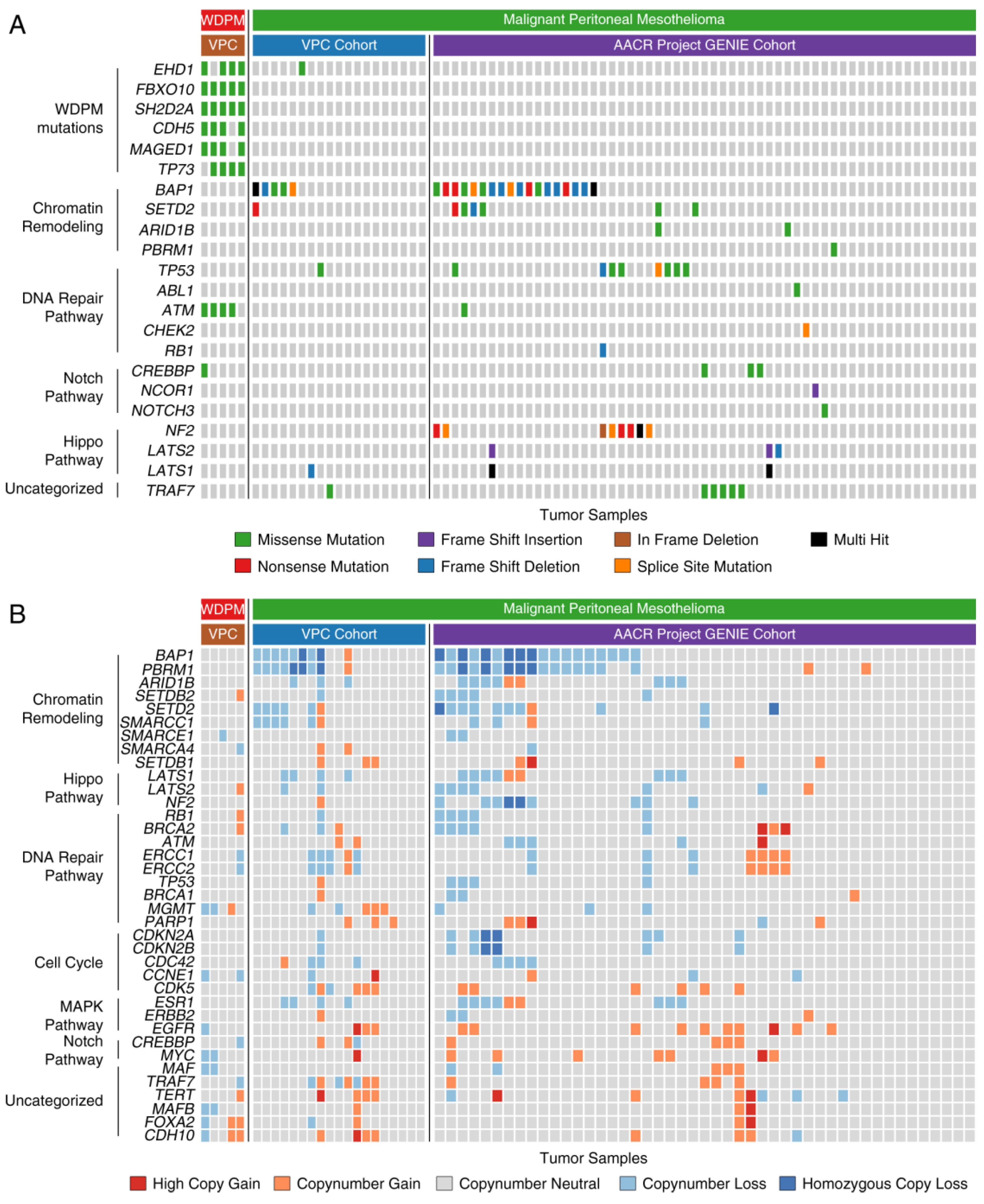 Cancers 12 01568 g004