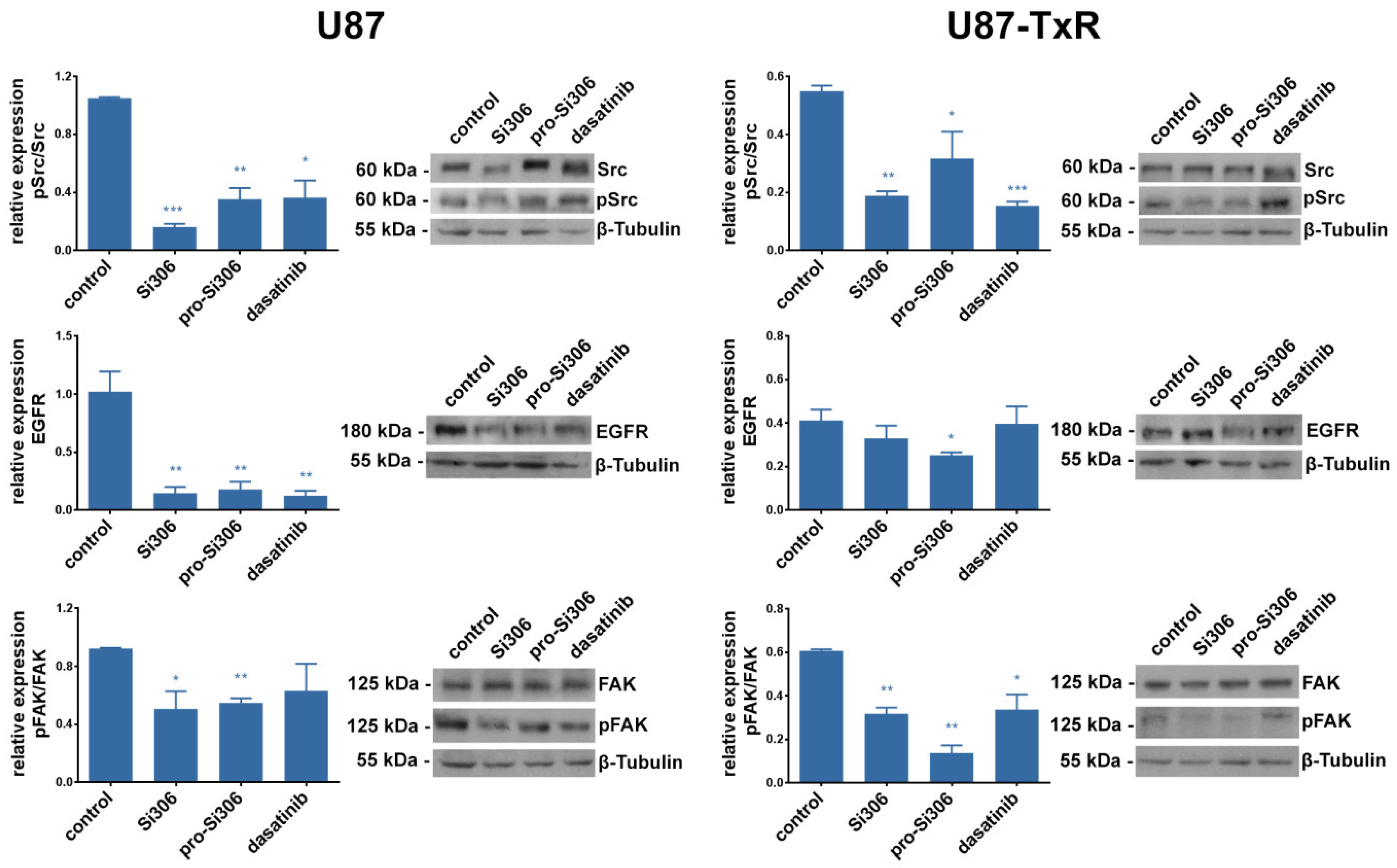 Cancers 12 01570 g005