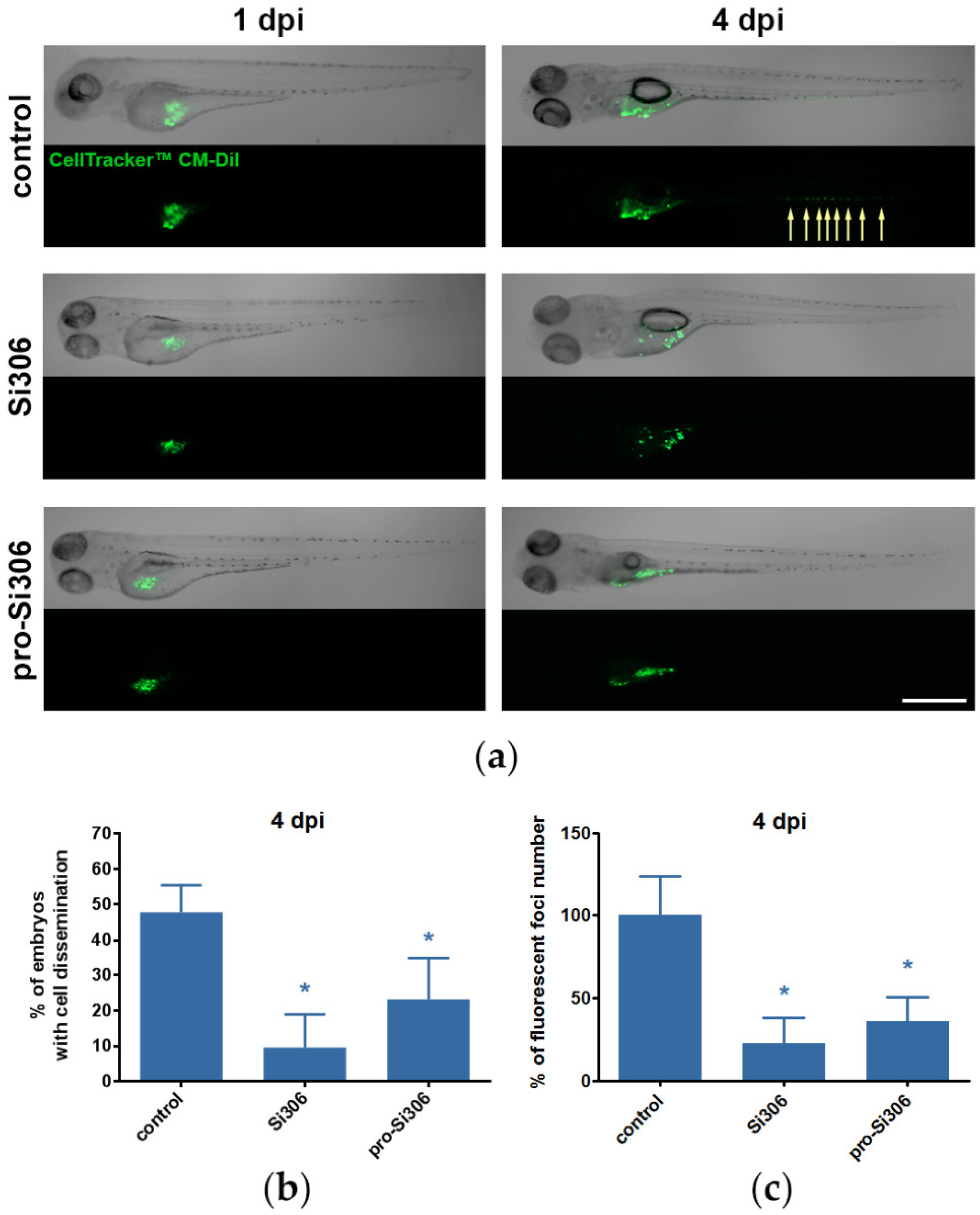 Cancers 12 01570 g008