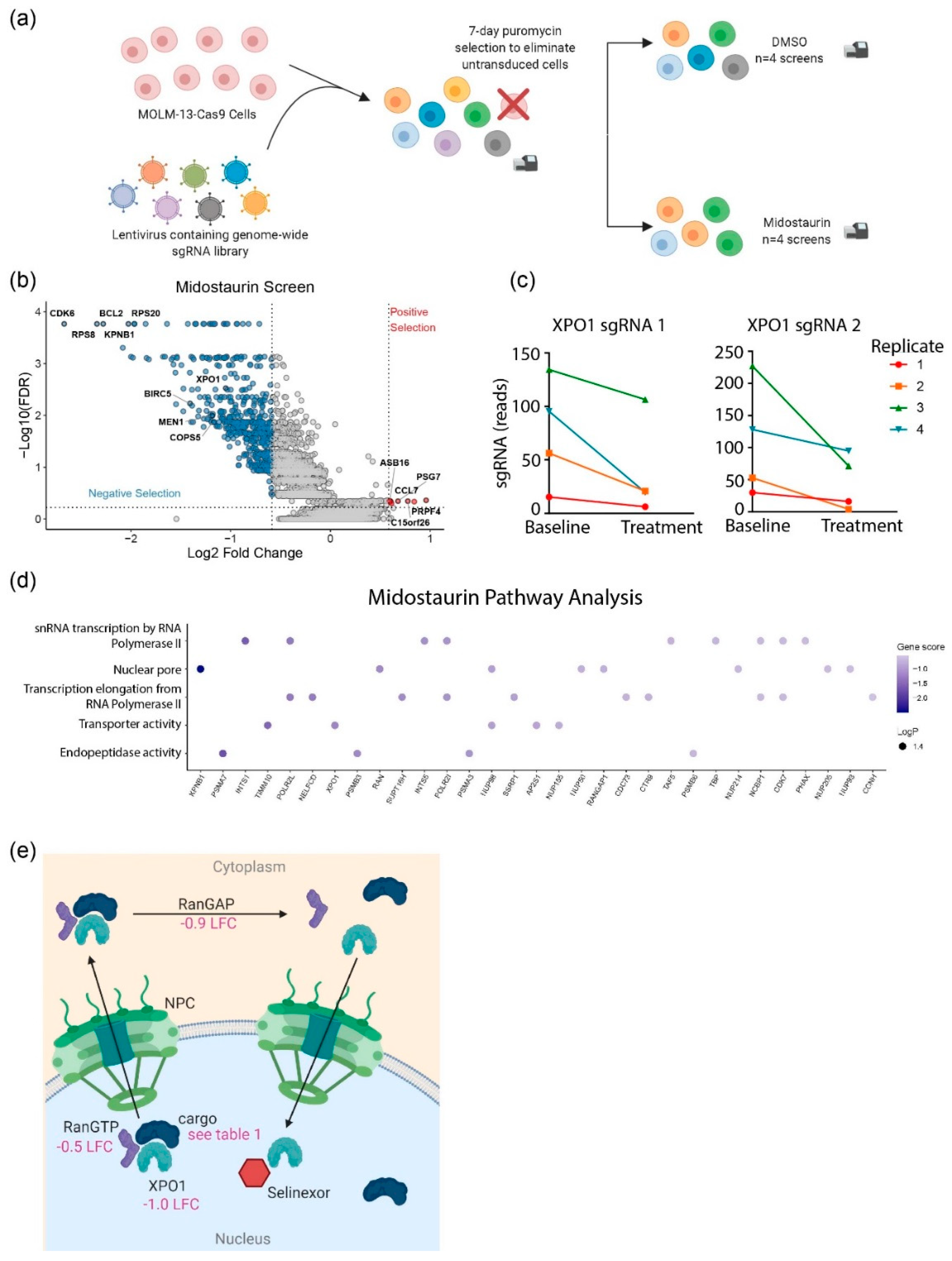 Cancers 12 01574 g001