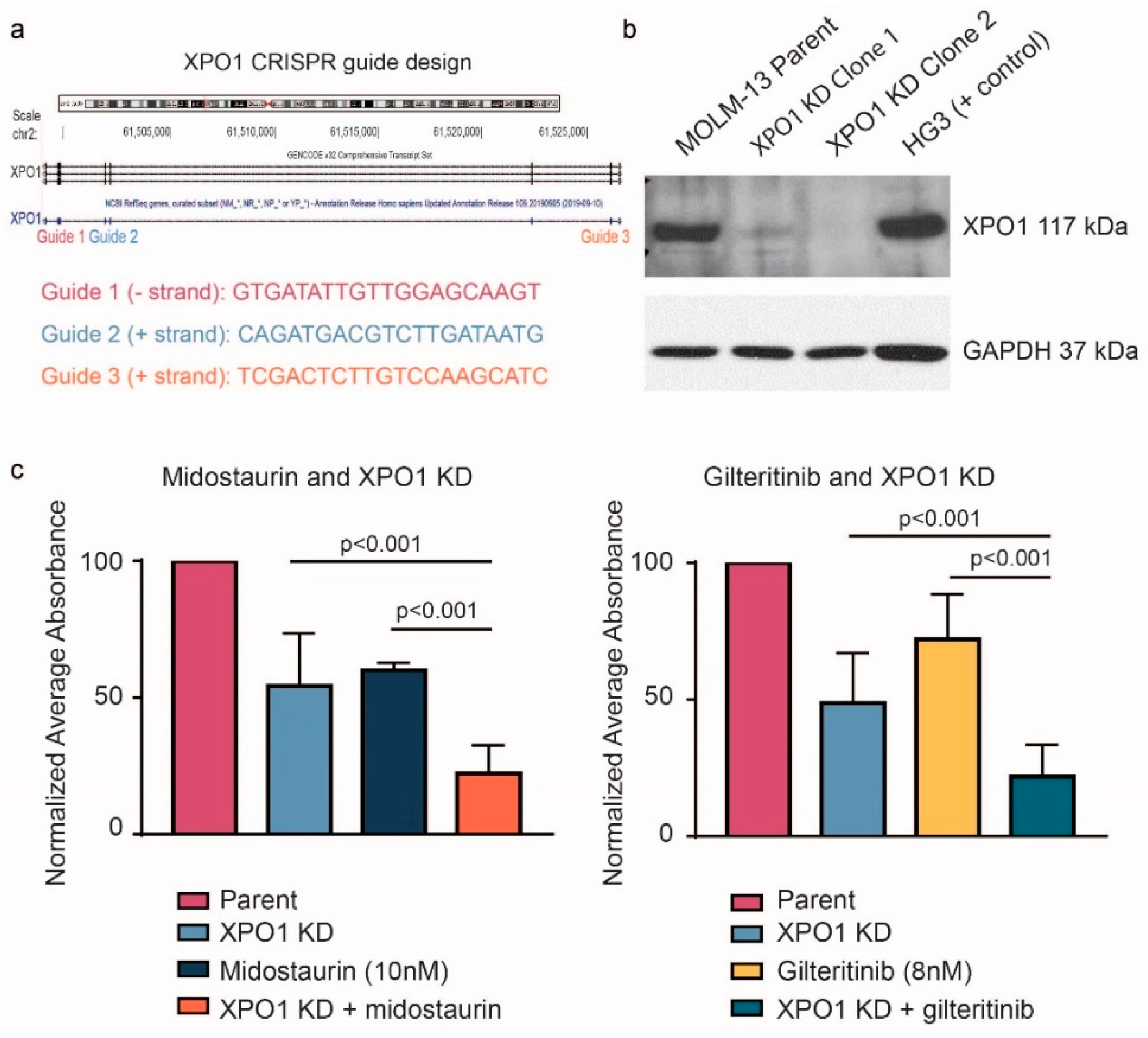 Cancers 12 01574 g002