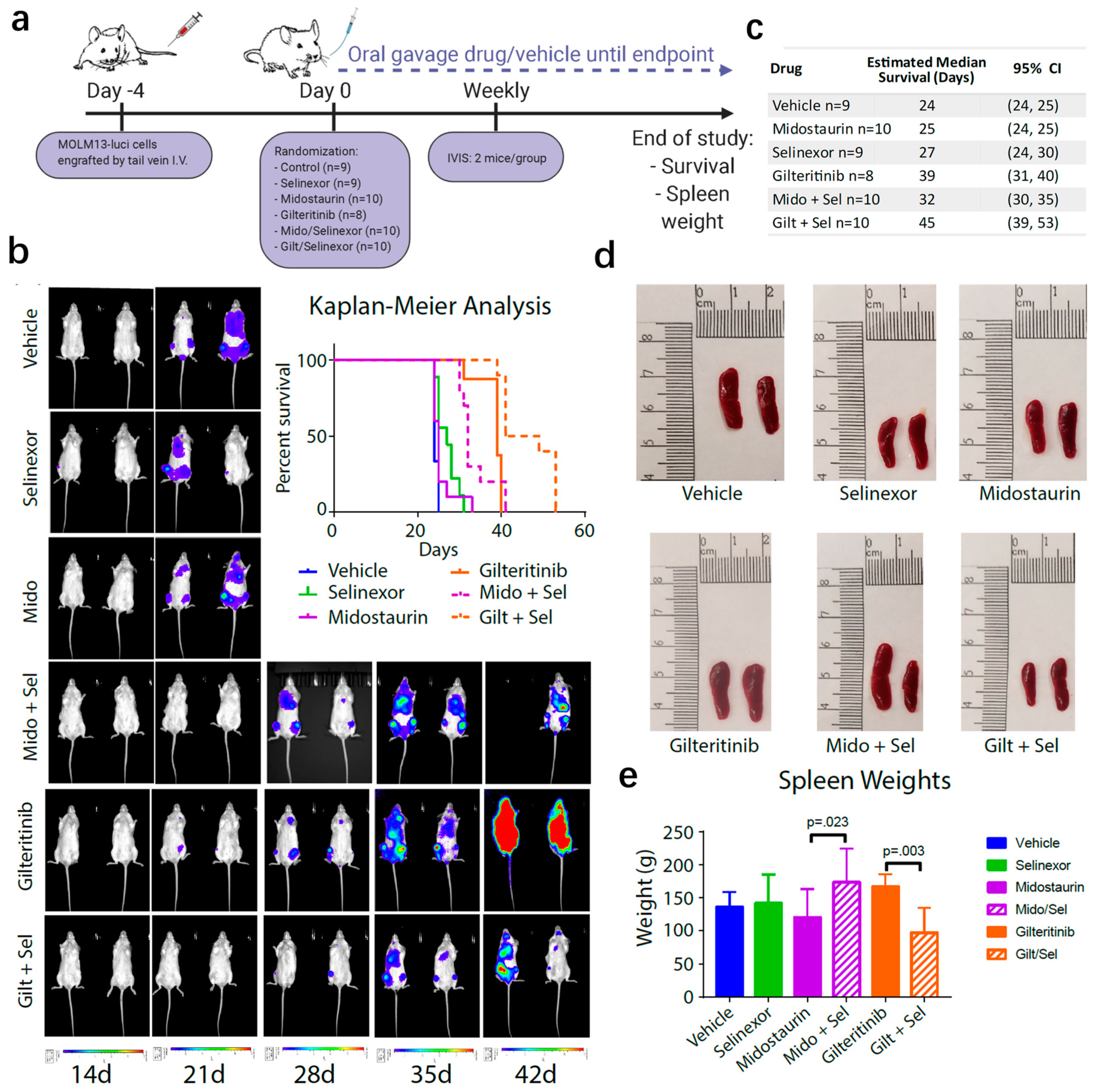 Cancers 12 01574 g004