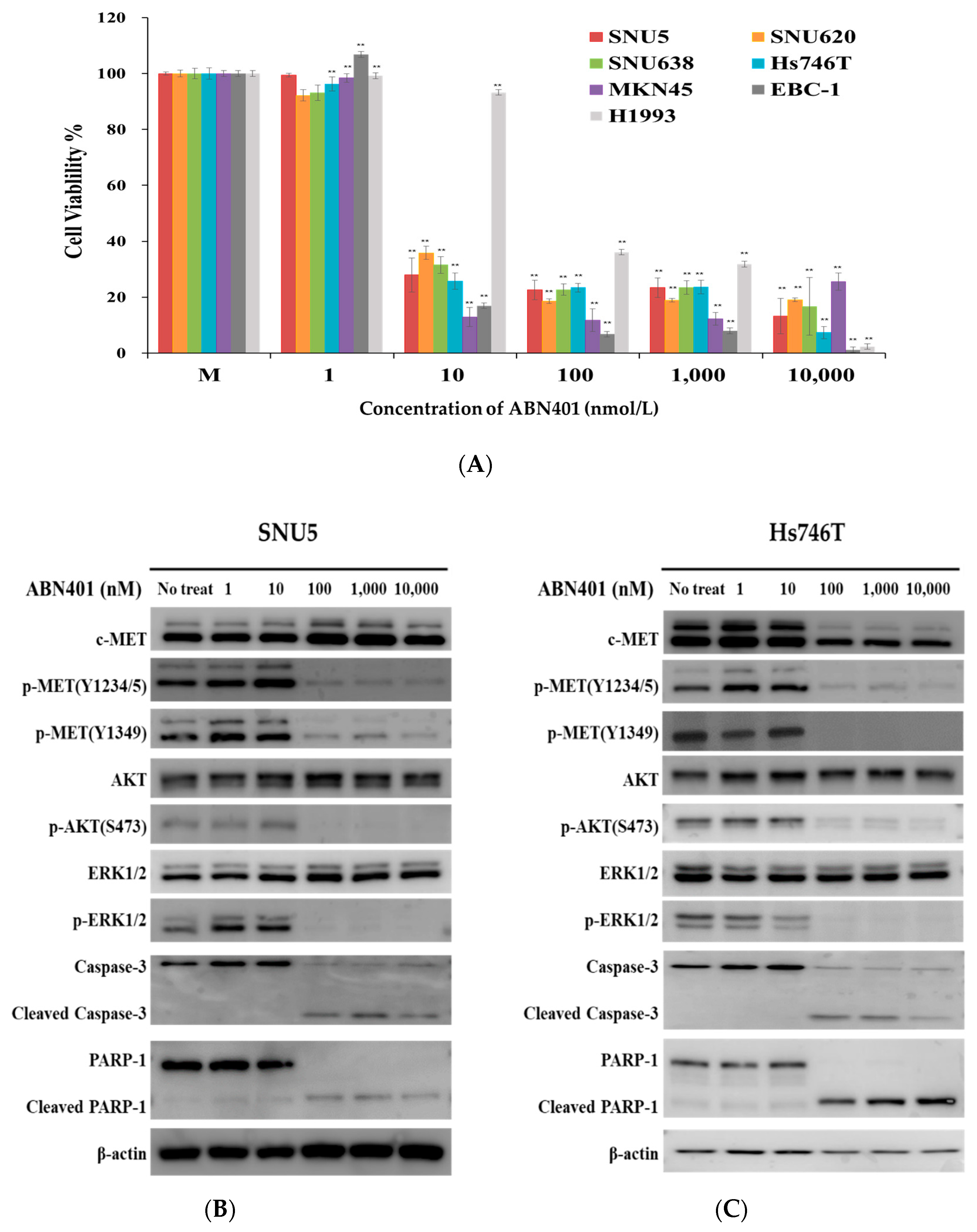 Cancers 12 01575 g002a Cancers 12 01575 g002a