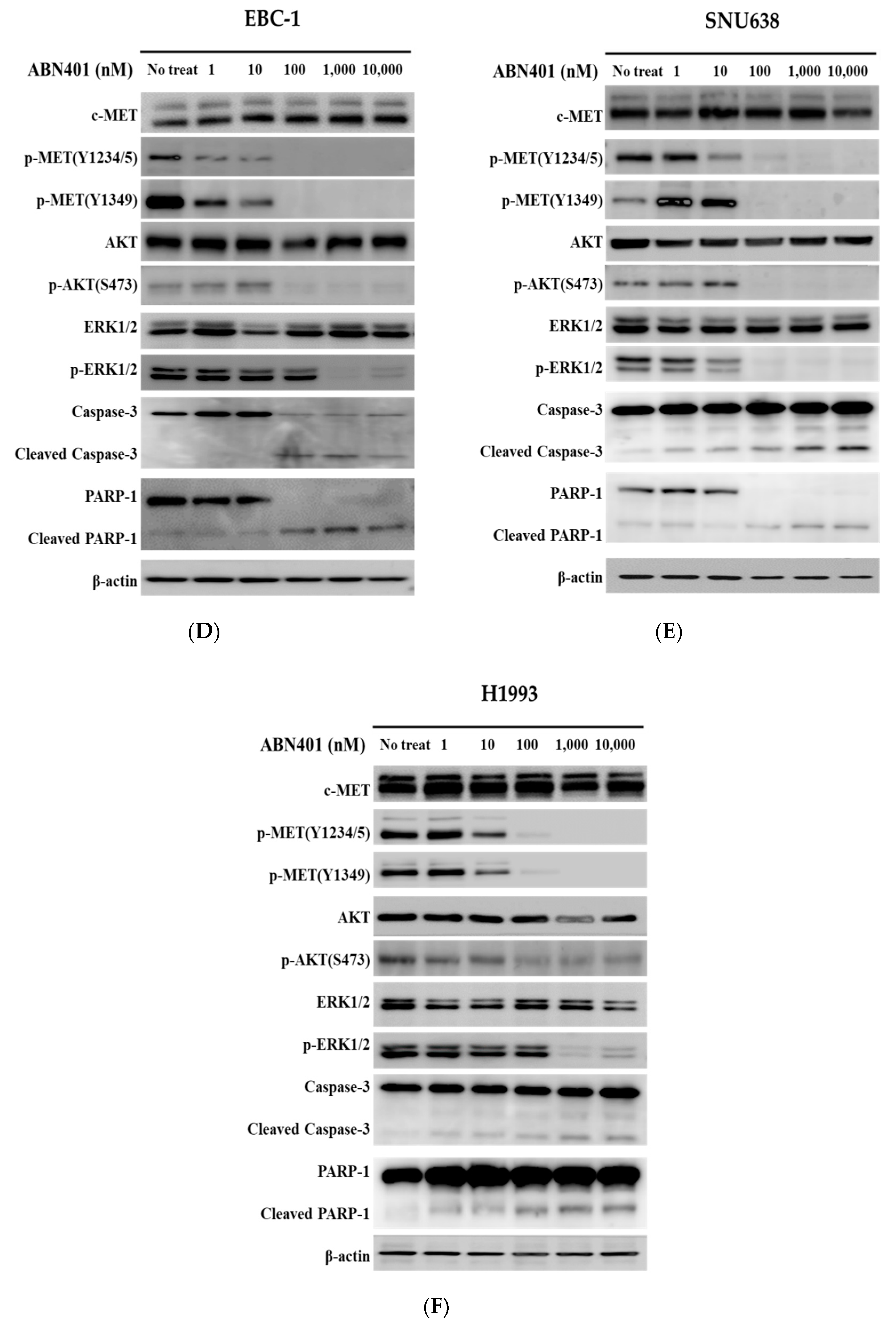 Cancers 12 01575 g002b Cancers 12 01575 g002b