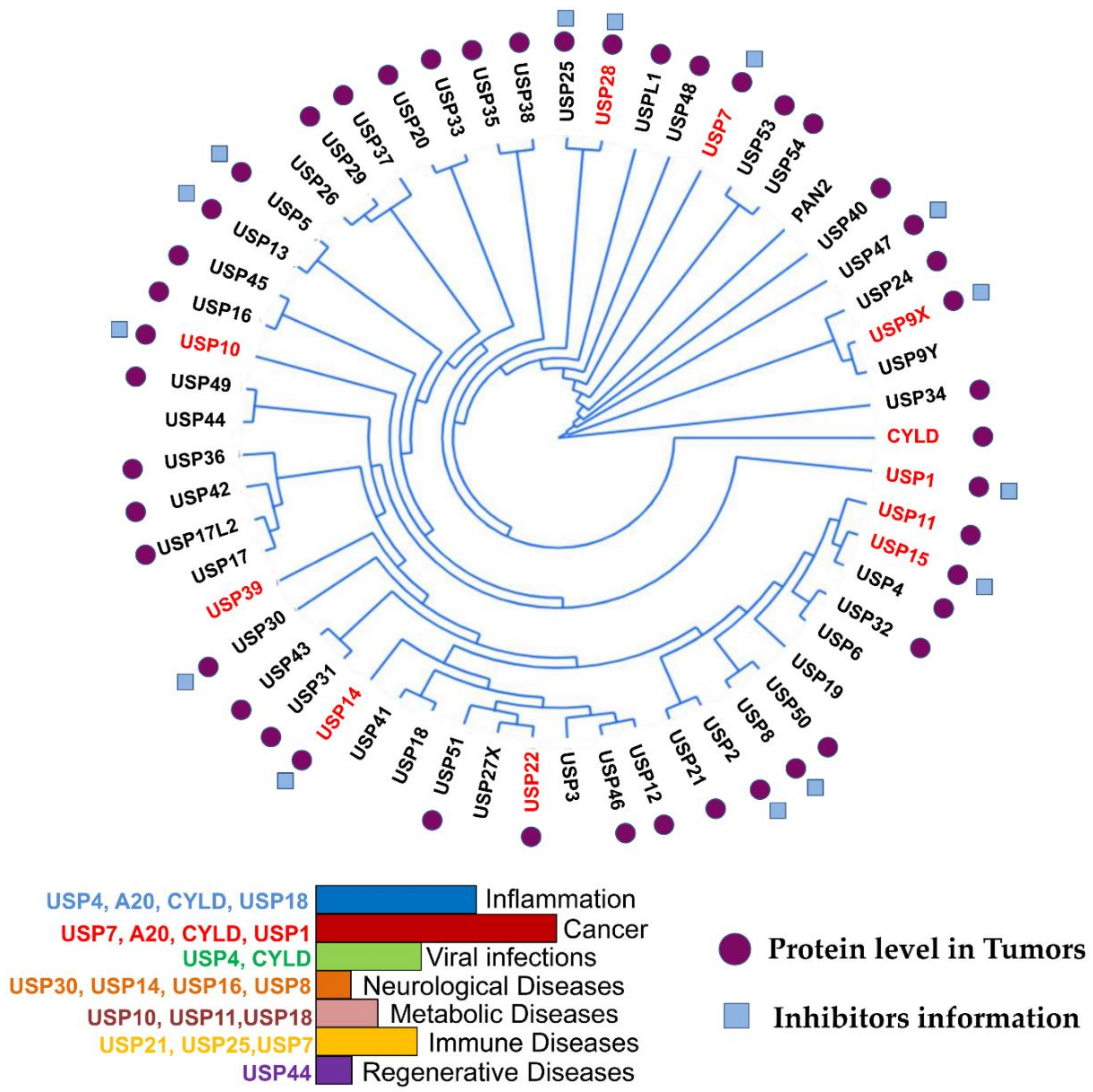 Cancers 12 01579 g001