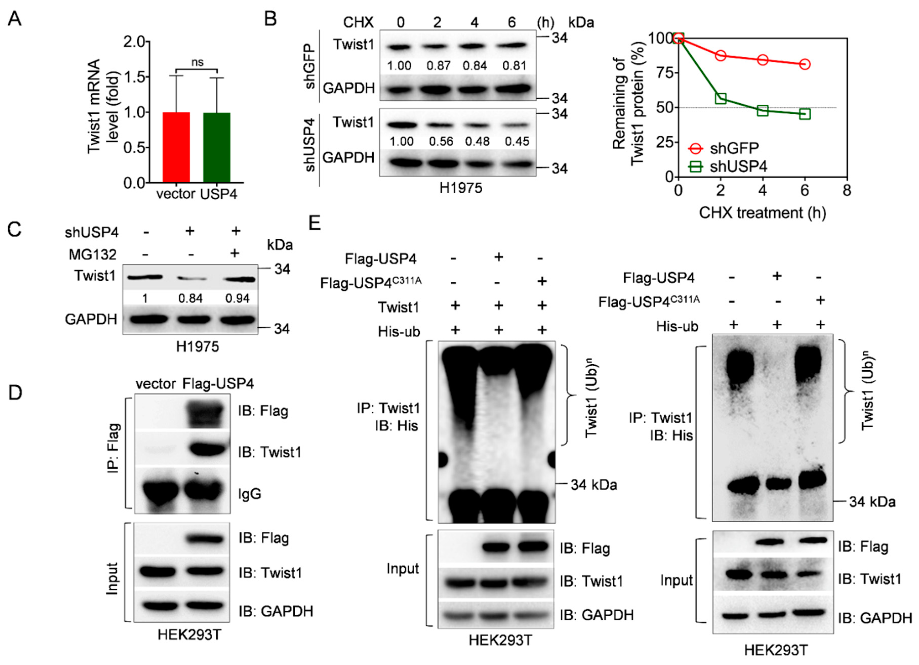 Cancers 12 01582 g003