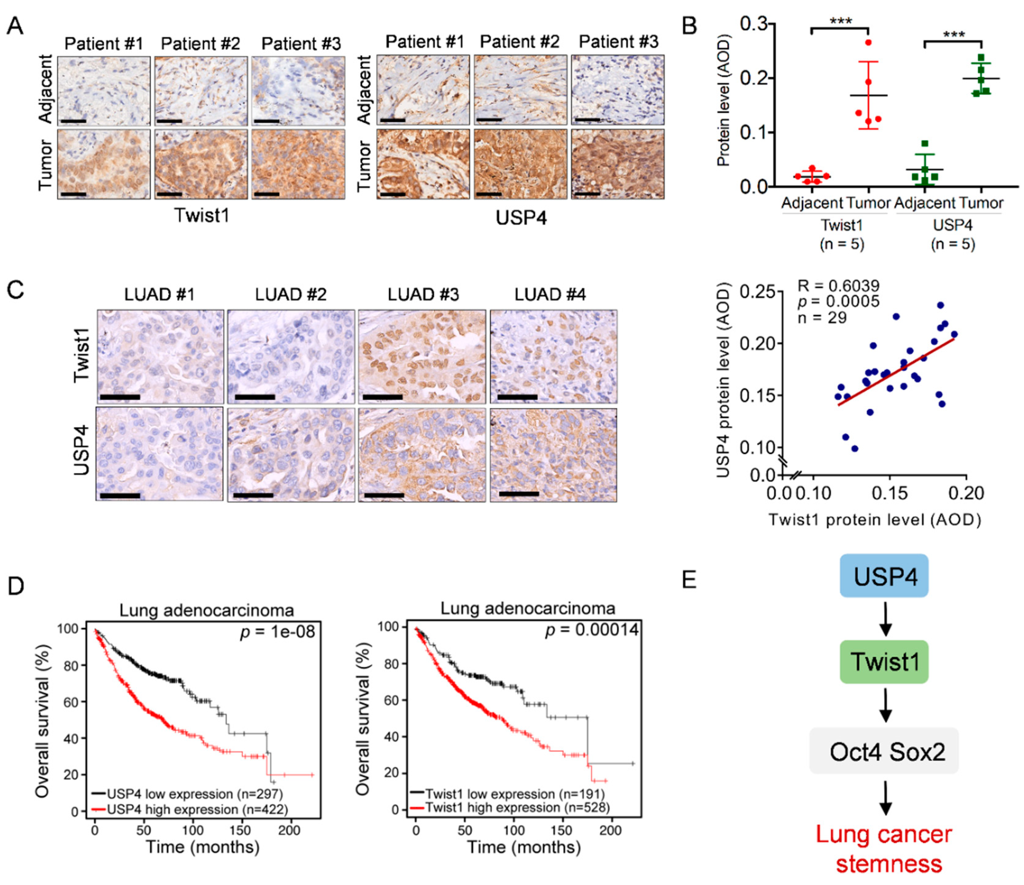 Cancers 12 01582 g004