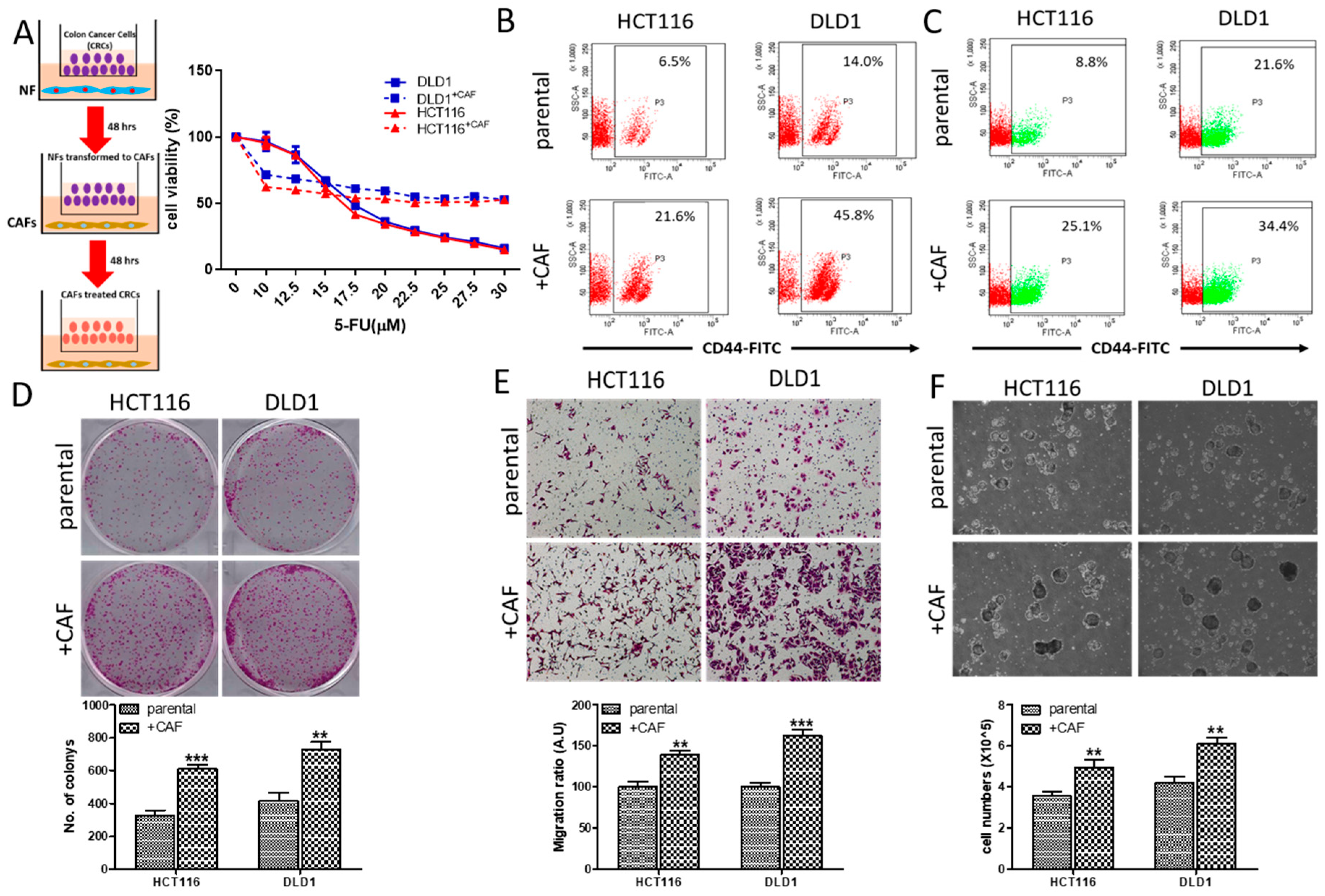 Cancers 12 01590 g001
