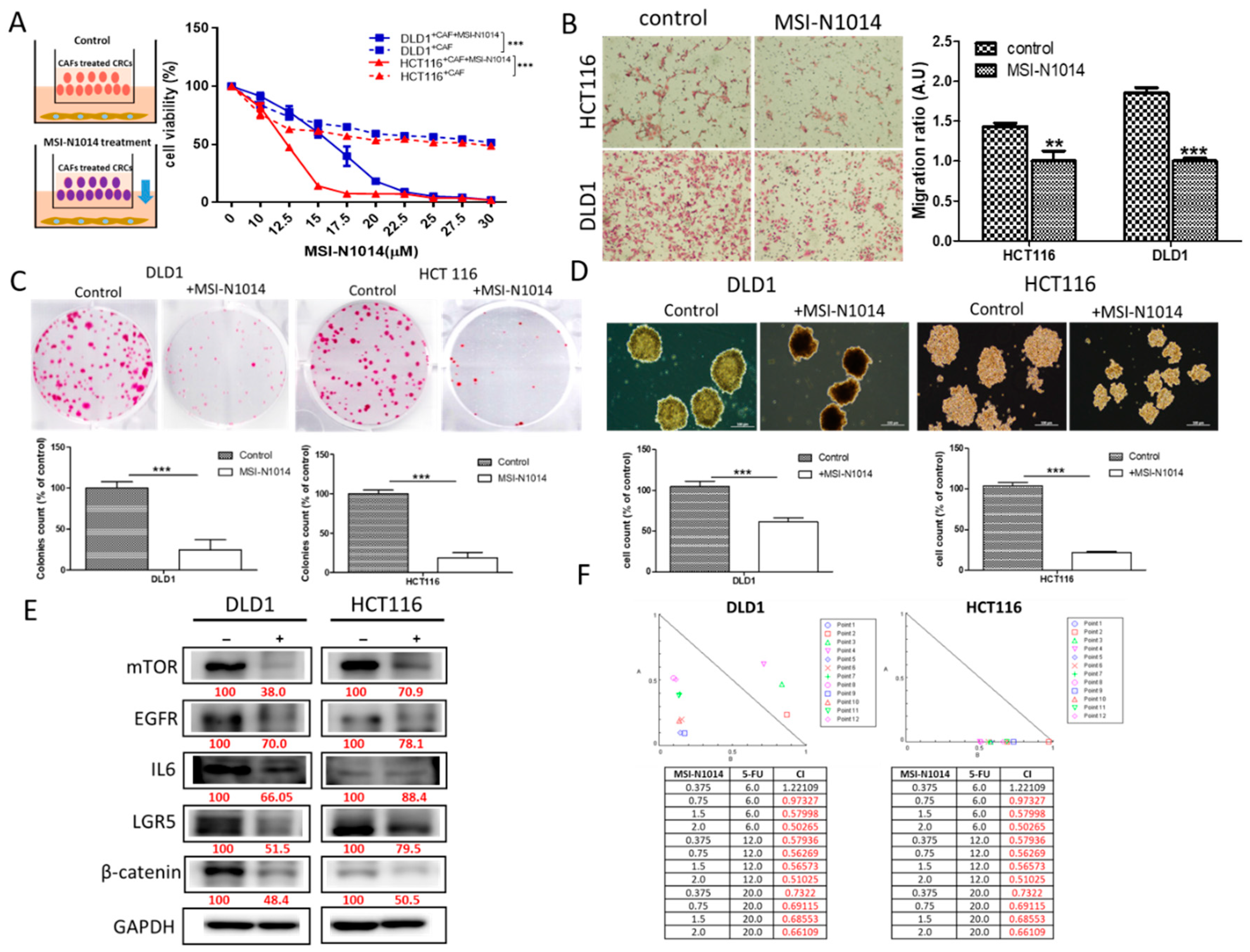Cancers 12 01590 g002