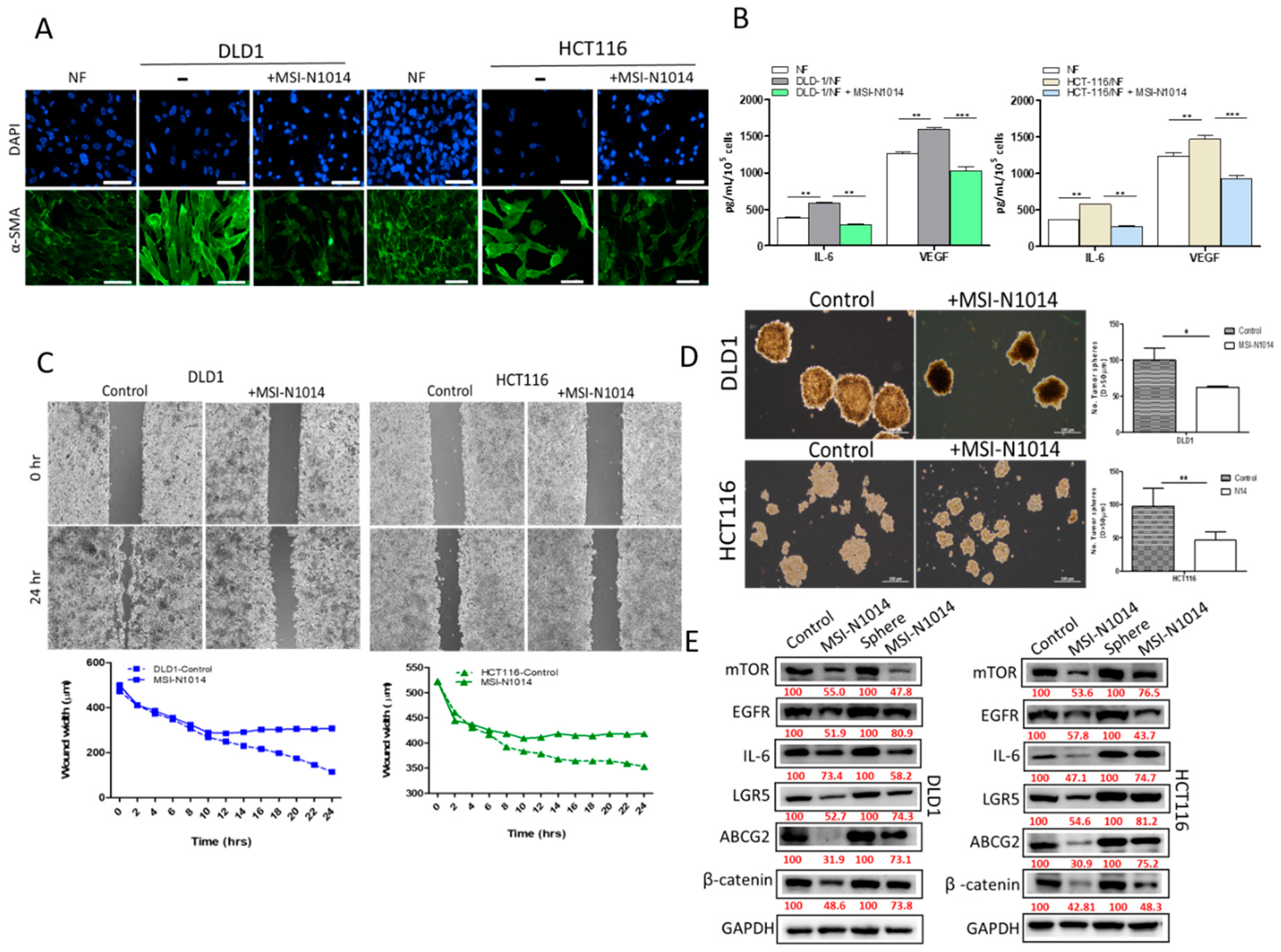 Cancers 12 01590 g003