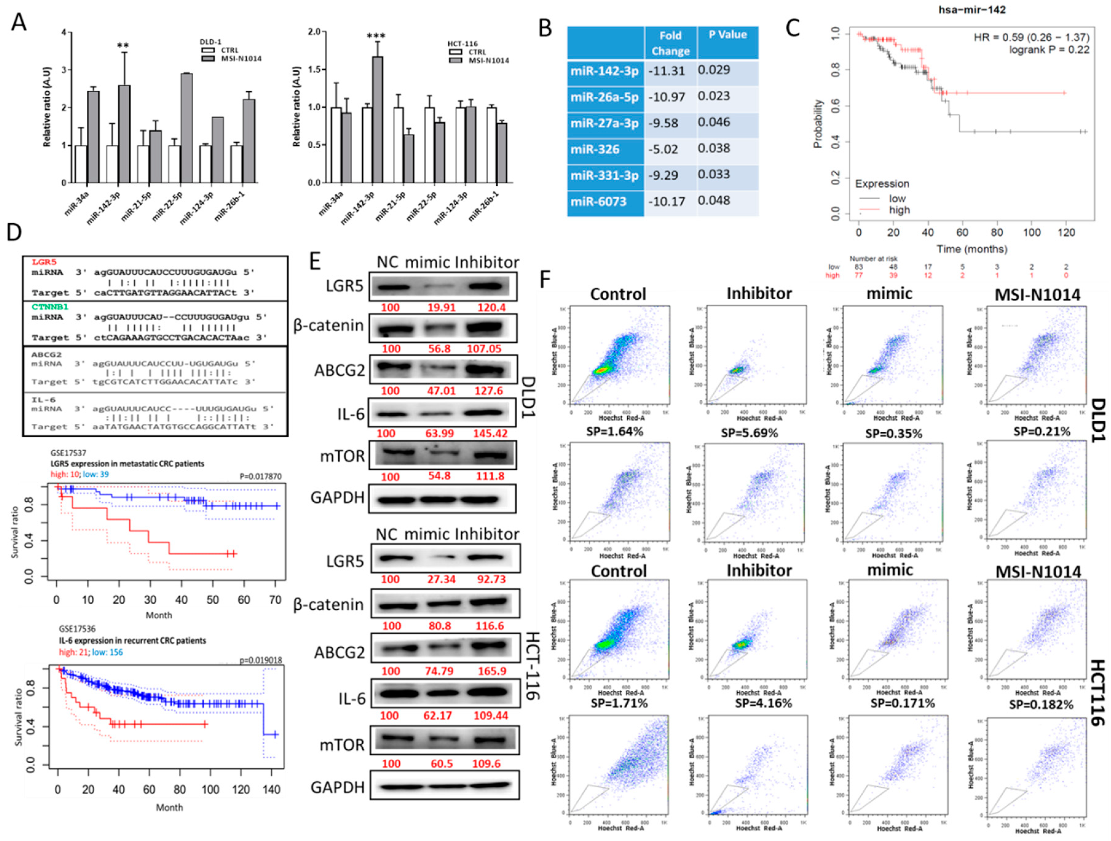 Cancers 12 01590 g004