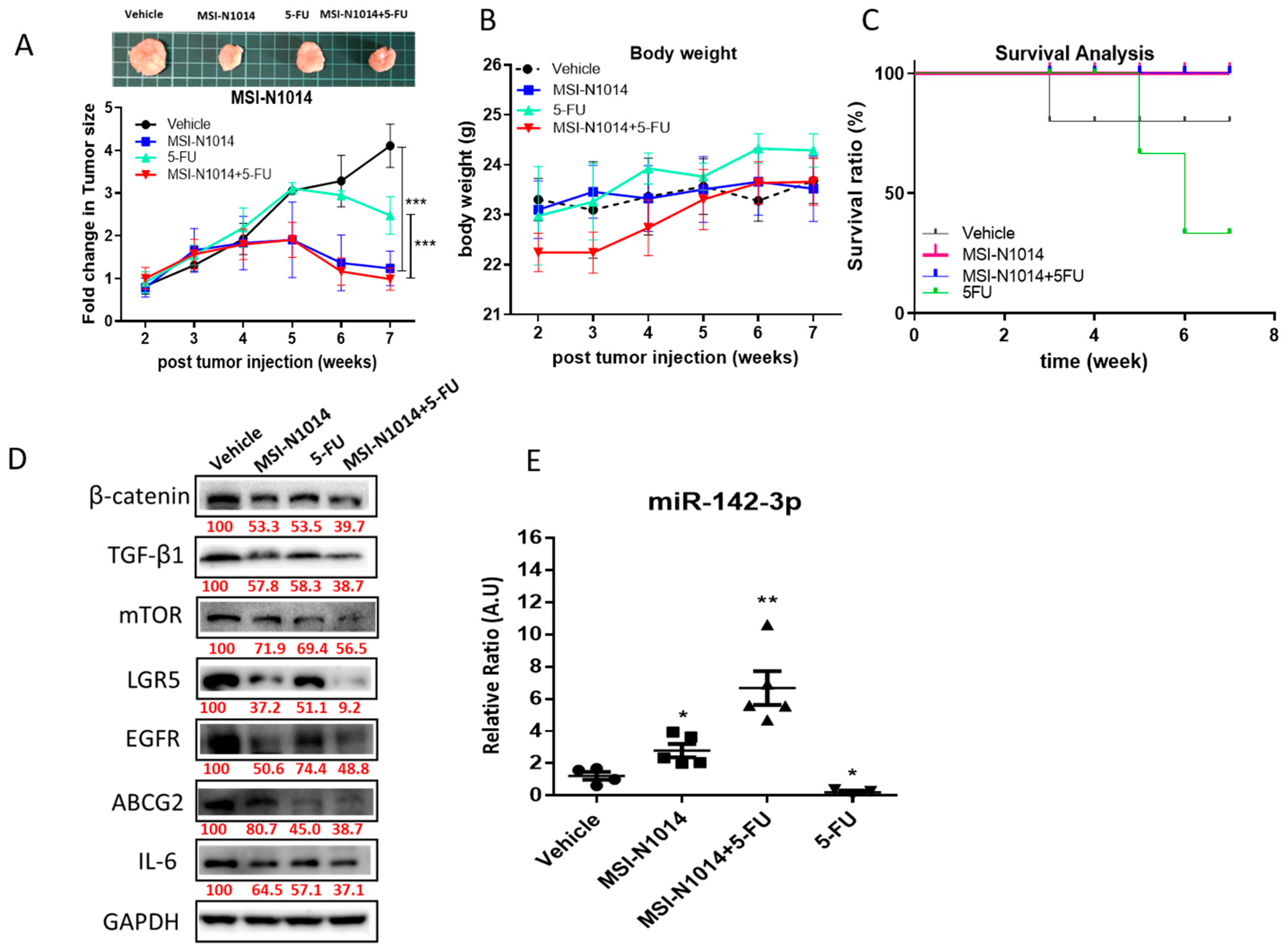 Cancers 12 01590 g005