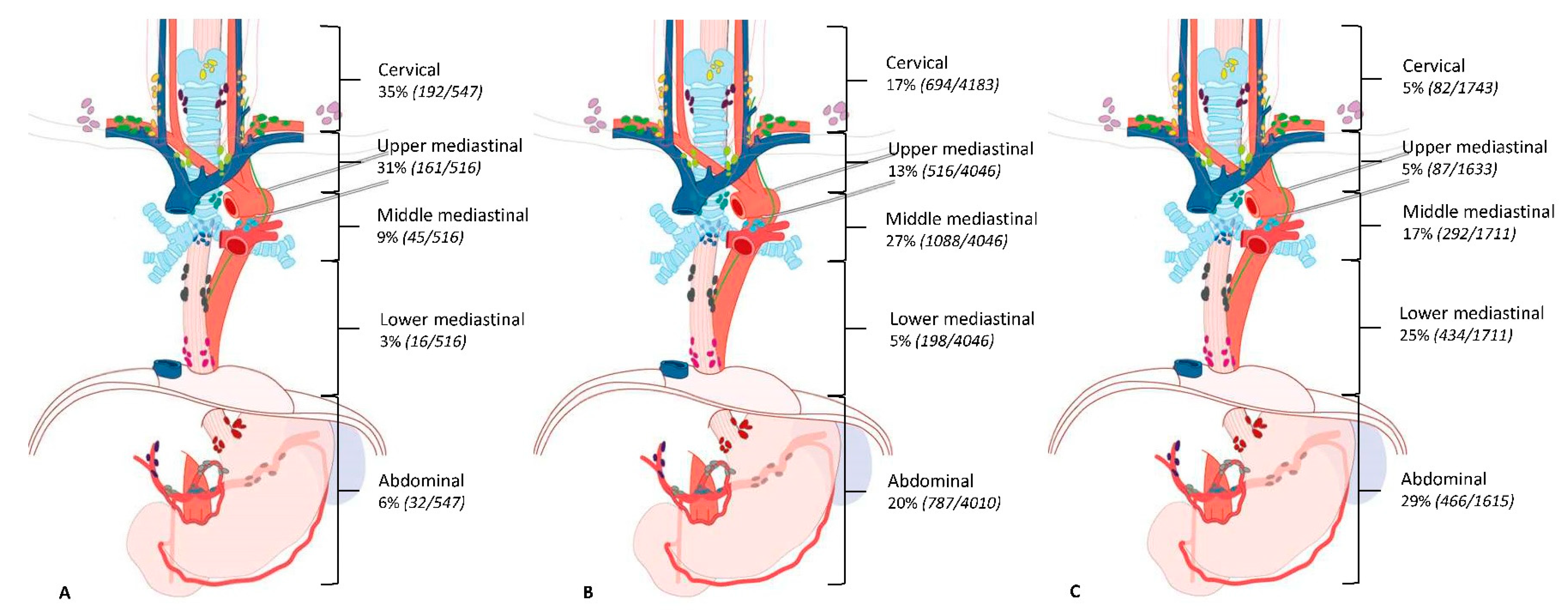 Cancers 12 01592 g002