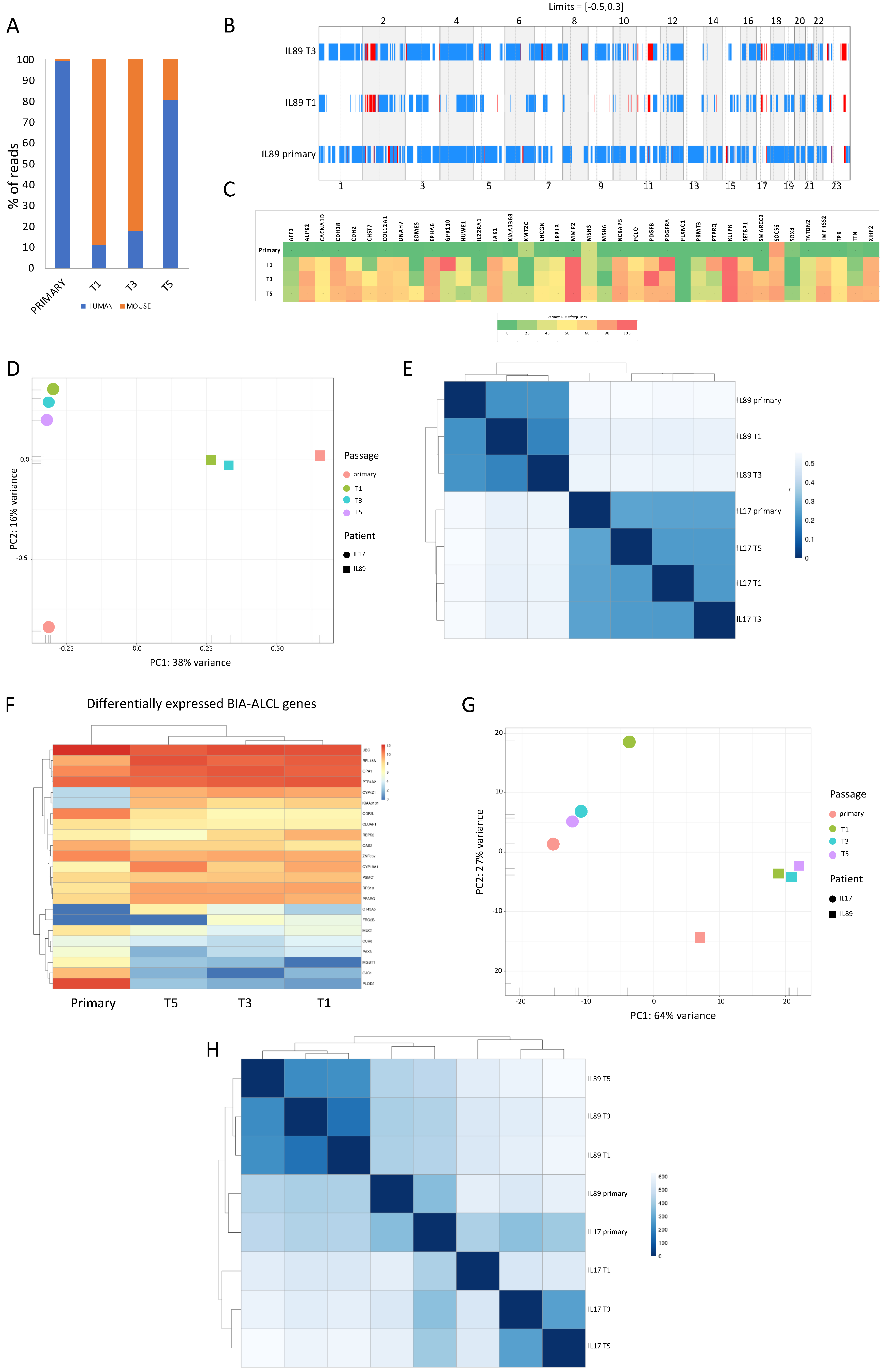 Cancers 12 01603 g002