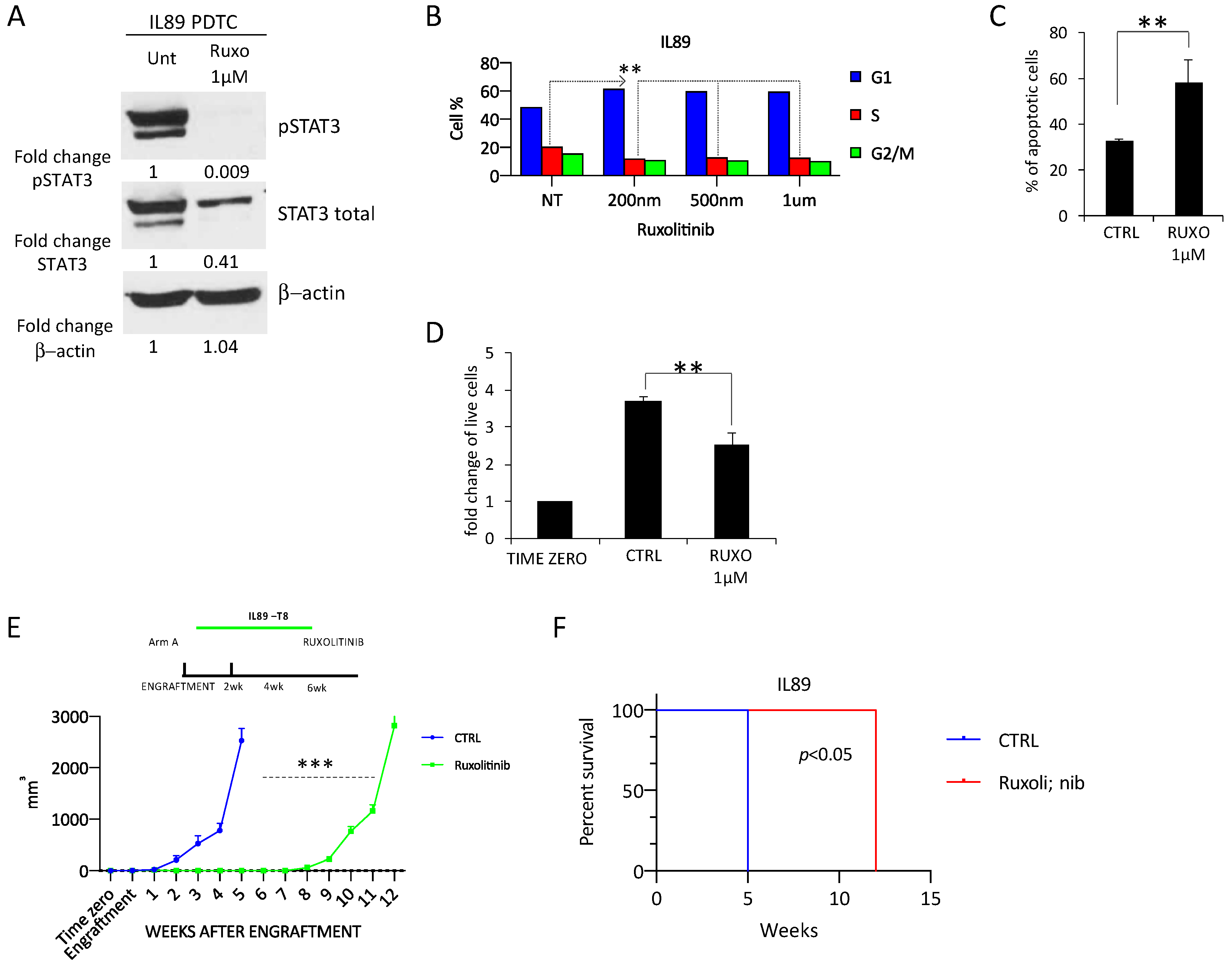 Cancers 12 01603 g004