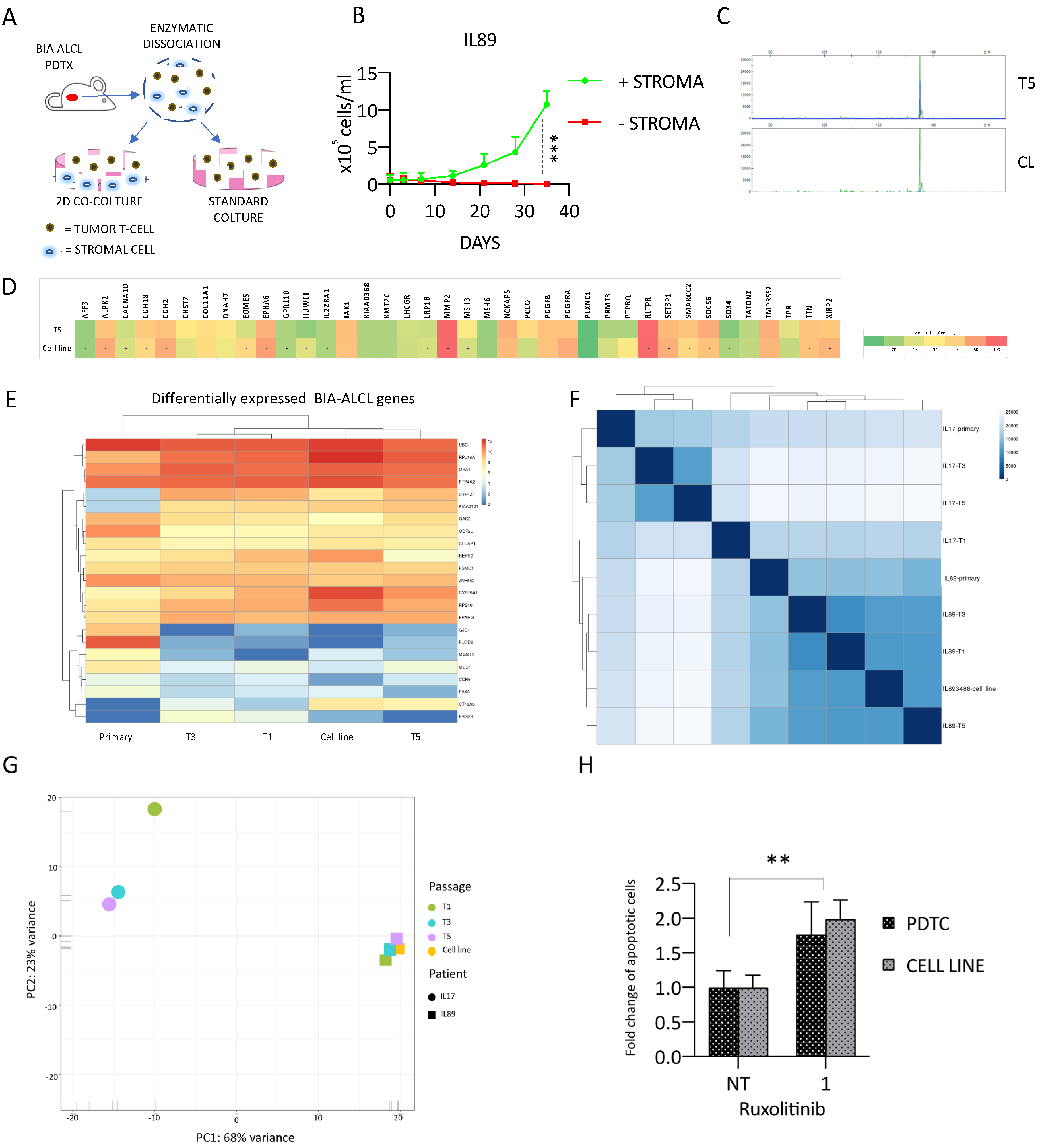 Cancers 12 01603 g005